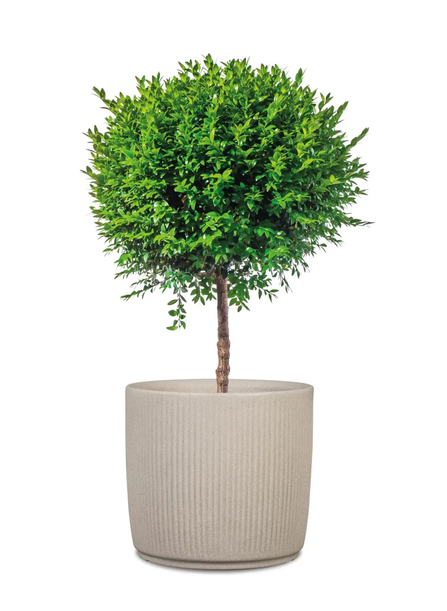 Scheurich ulkoruukku Linetto 259/40 hiekka - 3