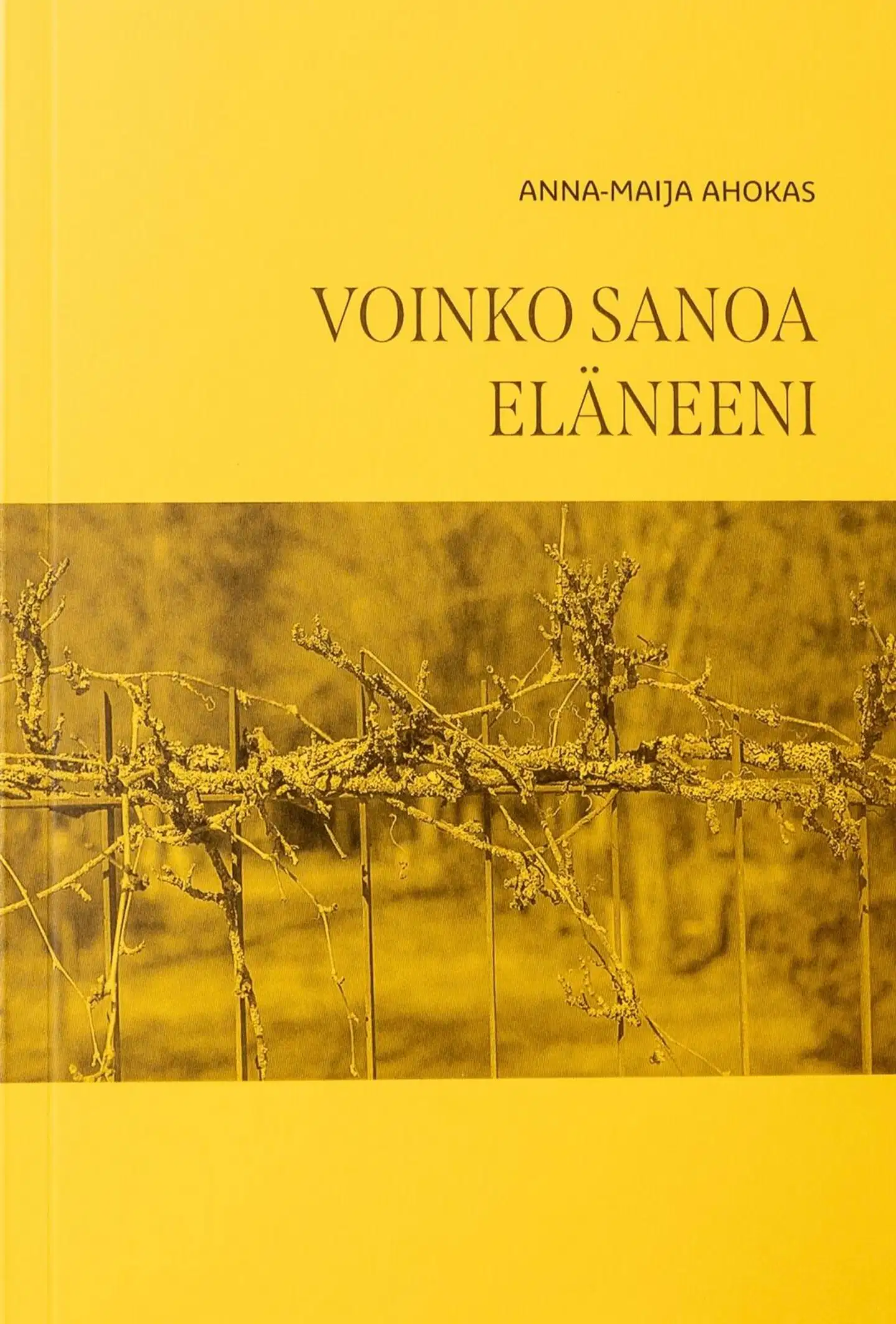 Ahokas, Voinko sanoa eläneeni - Runoja vanhuudesta ja kuolemasta
