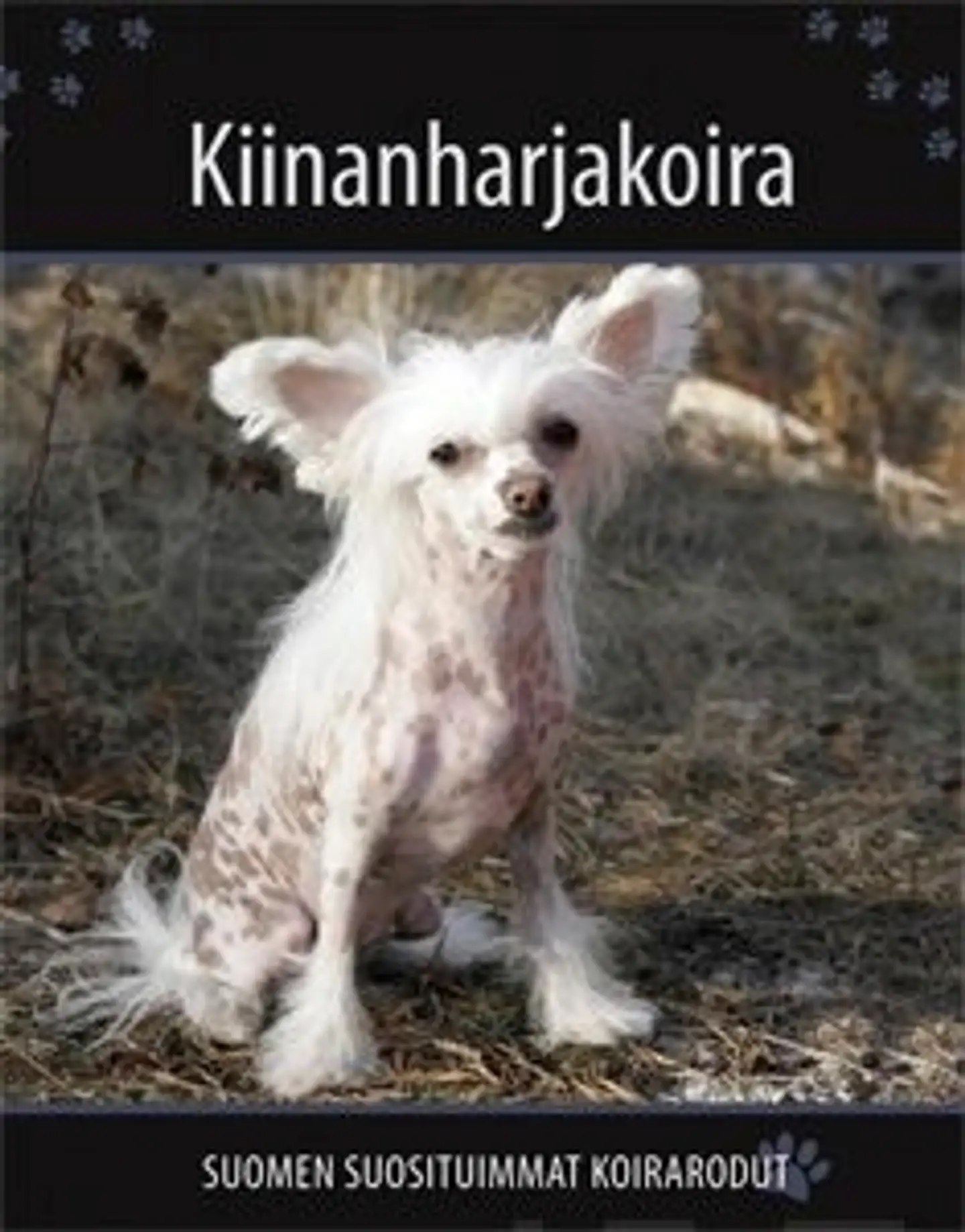 Kiinanharjakoira