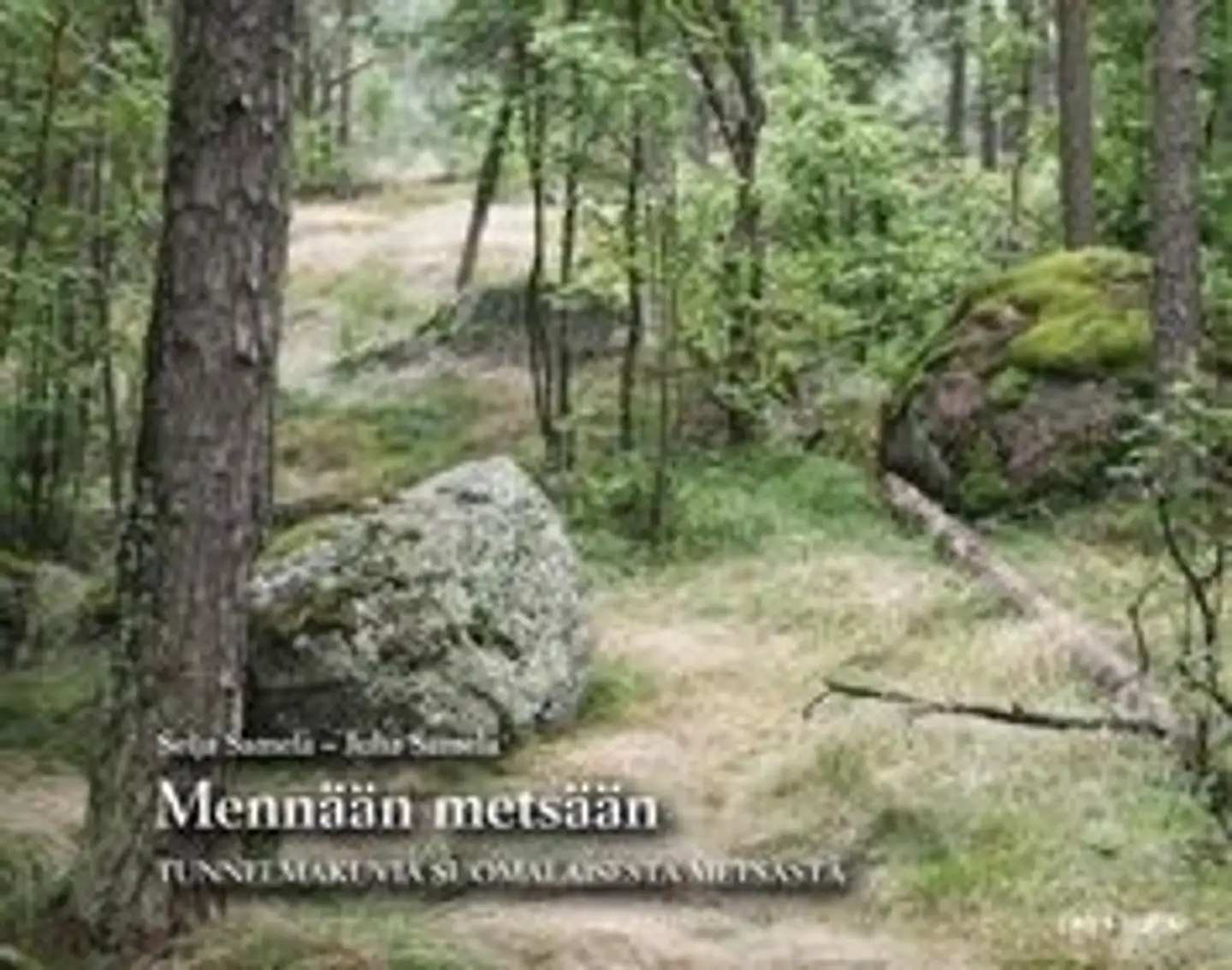 Samela, Mennään metsään (selkokirja) - tunnelmakuvia suomalaisesta metsästä