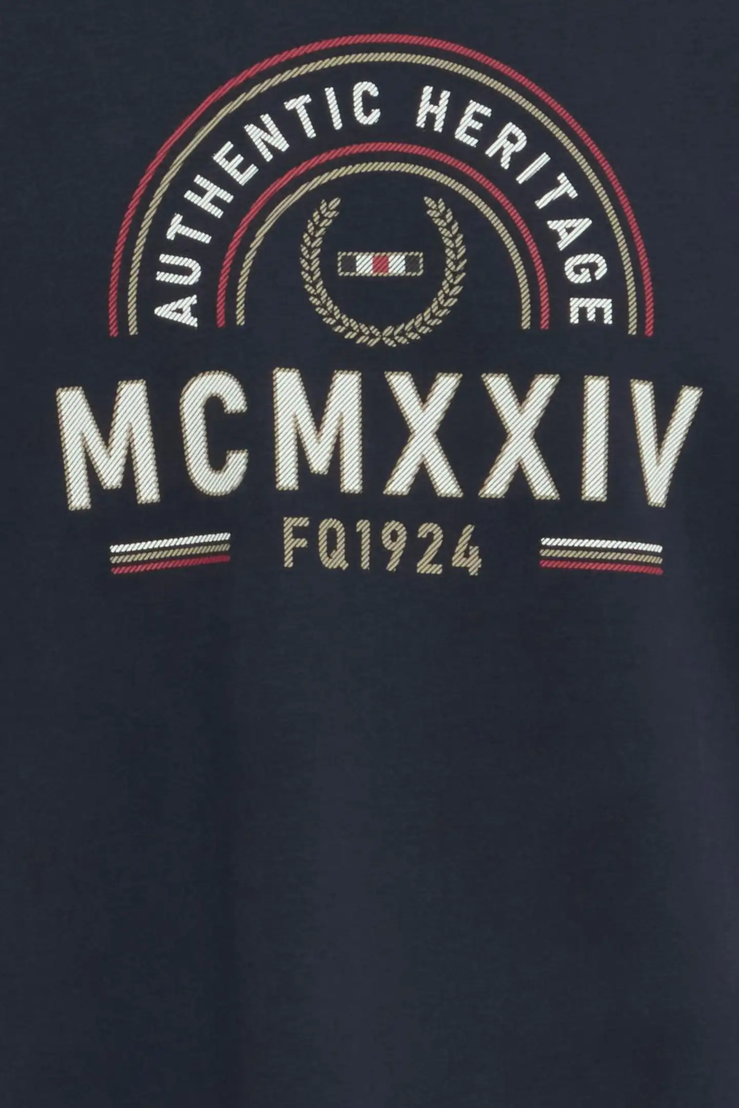 FQ1924 miesten t-paita FQDOLLARD logo - Salute - 3