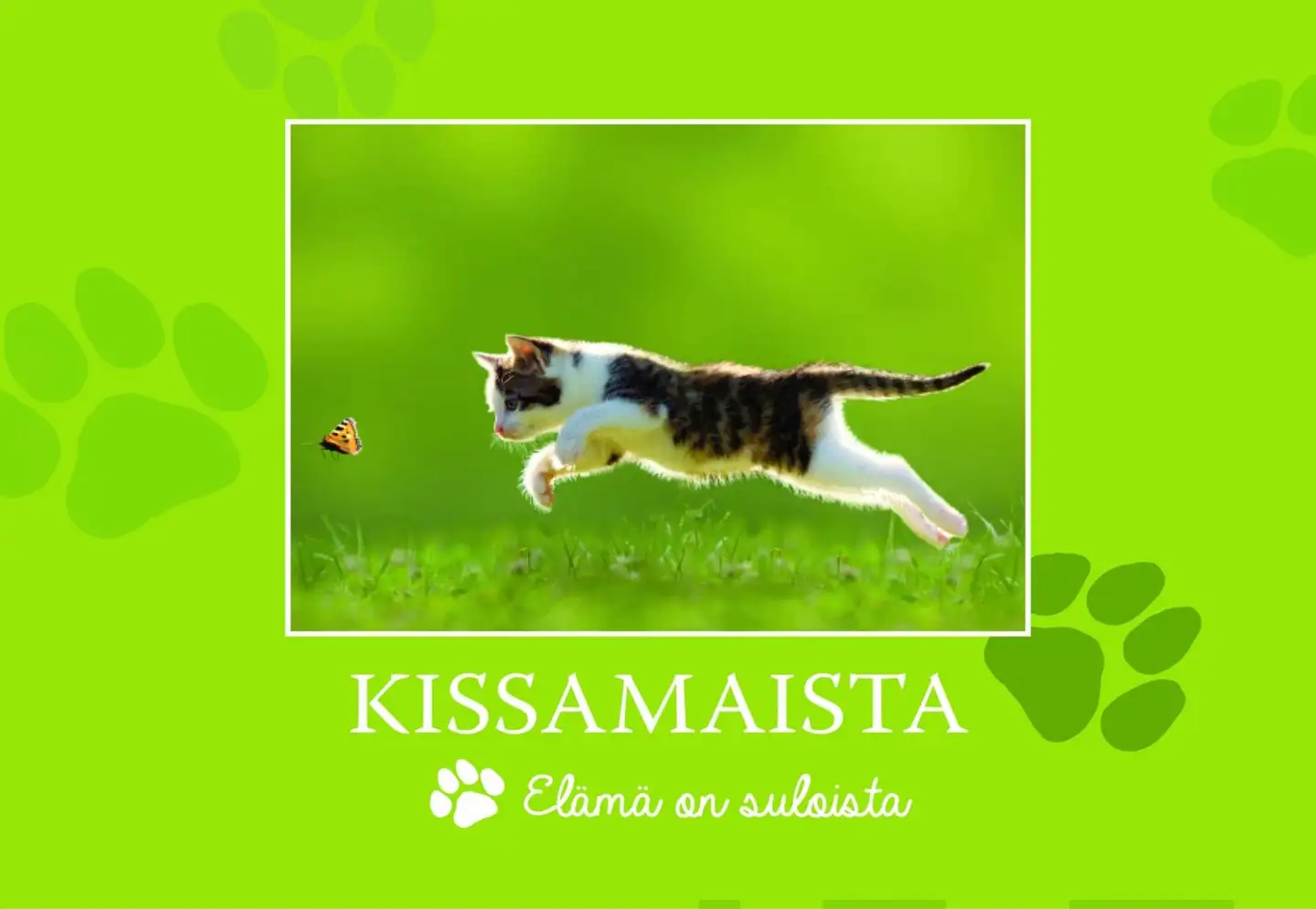 Kissamaista - Elämä on suloista