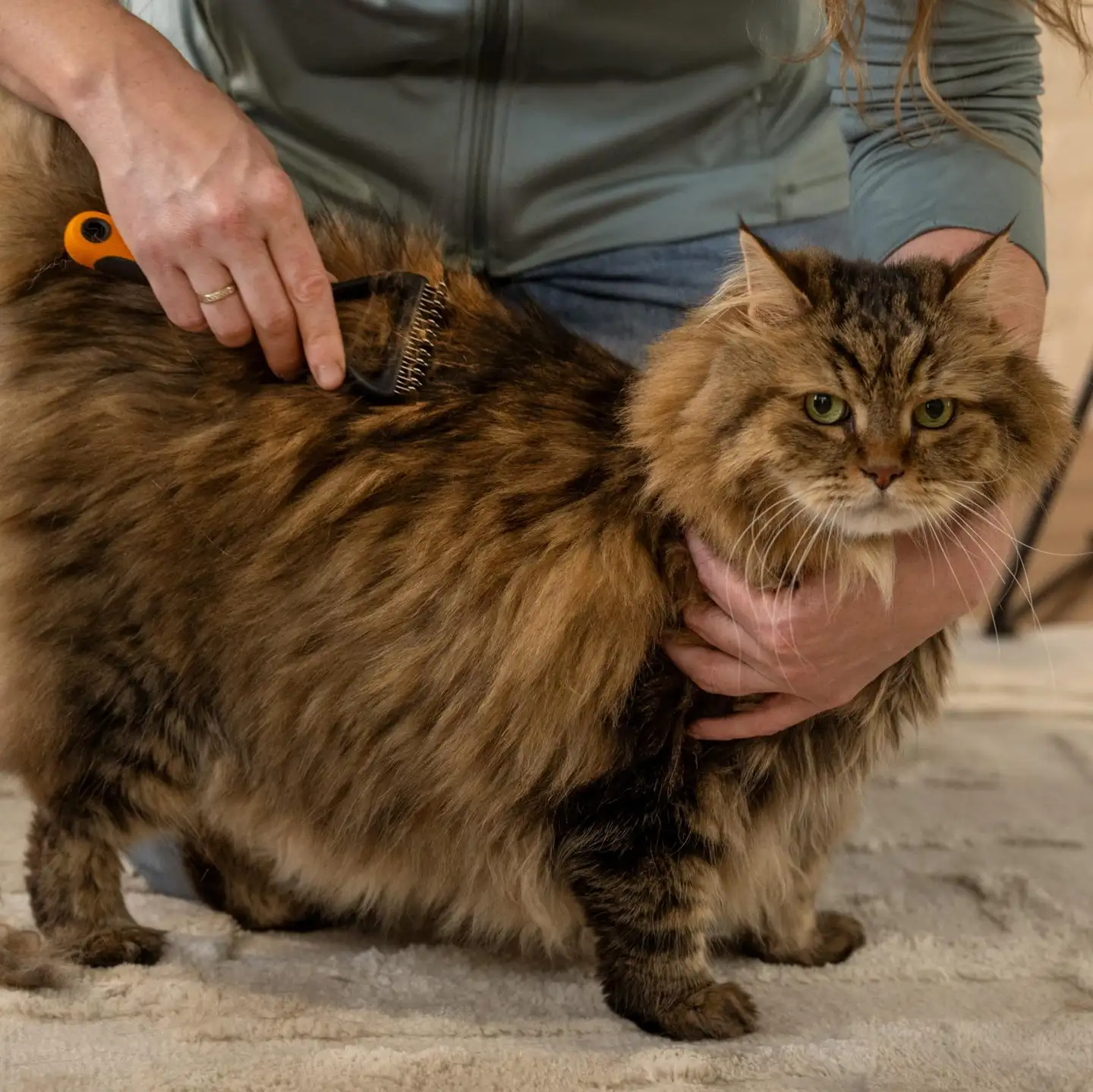 Fiskars lemmikin pohjavillahara - 4