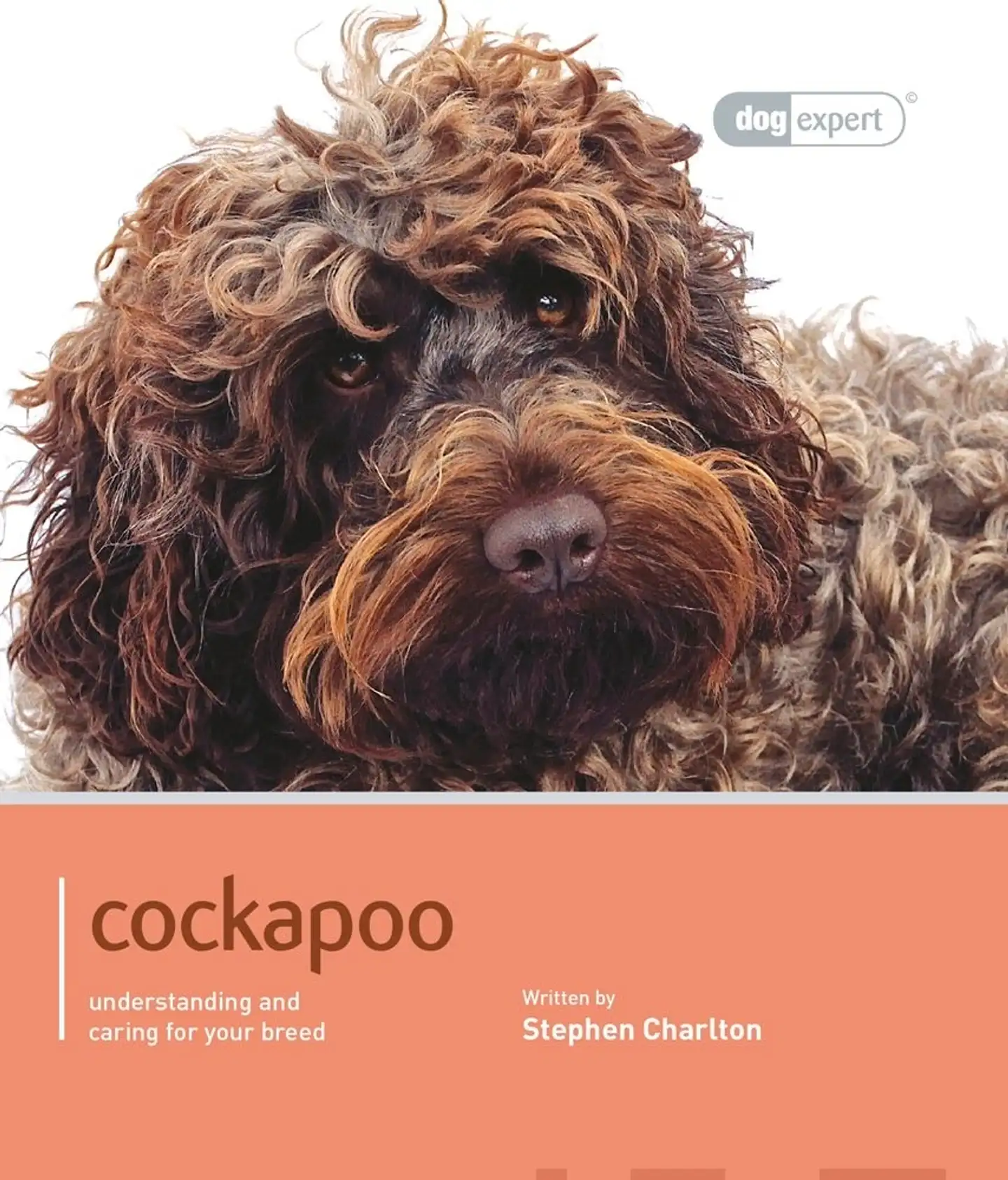 Charlton, Cockapoo - Understanding and caring for your breed