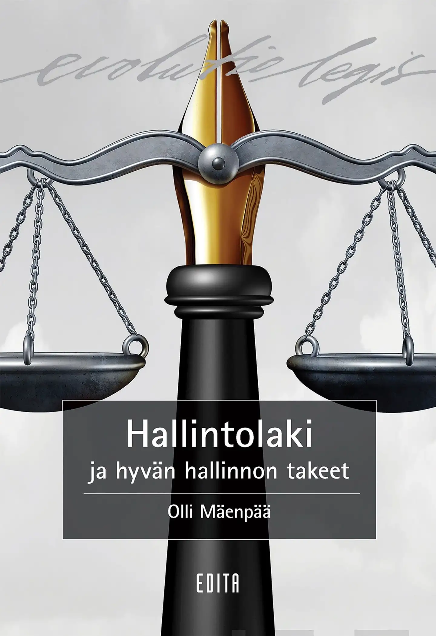 Mäenpää, Hallintolaki ja hyvän hallinnon takeet