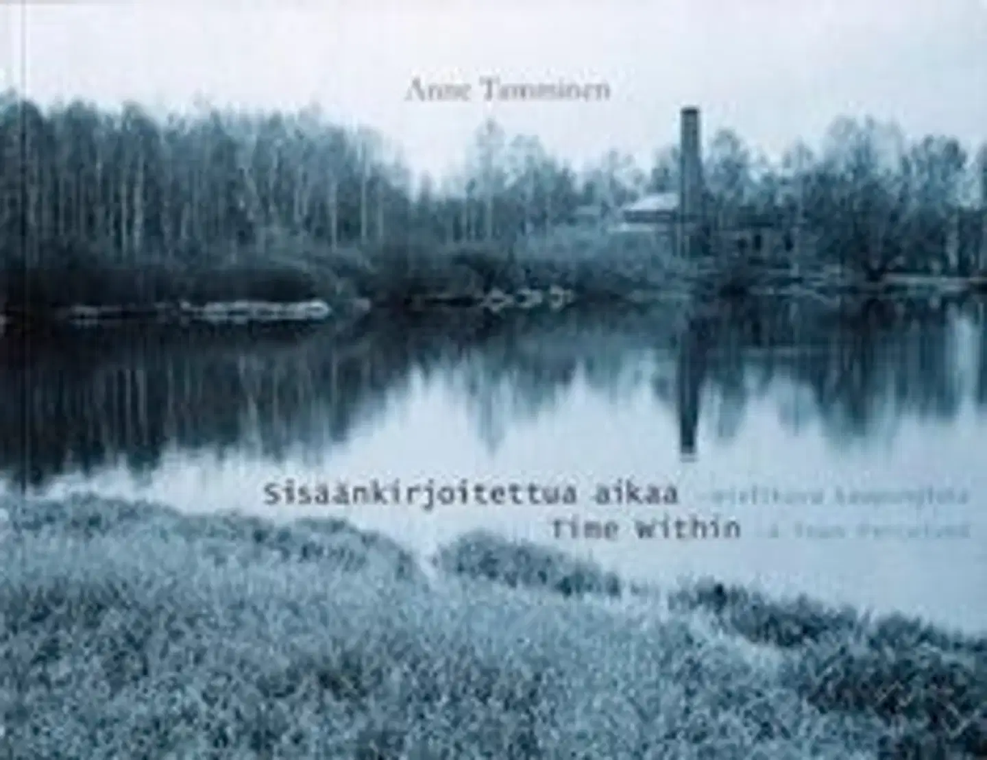 Tamminen, Sisäänkirjoitettua aikaa - a town perceived; mielikuva kaupungista