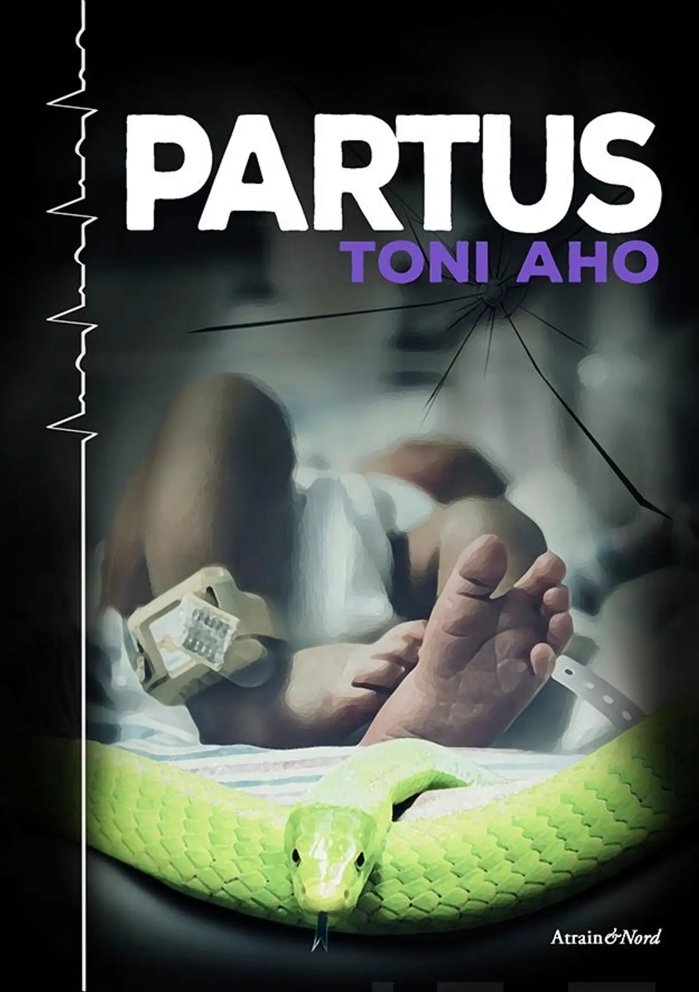 Aho, Partus