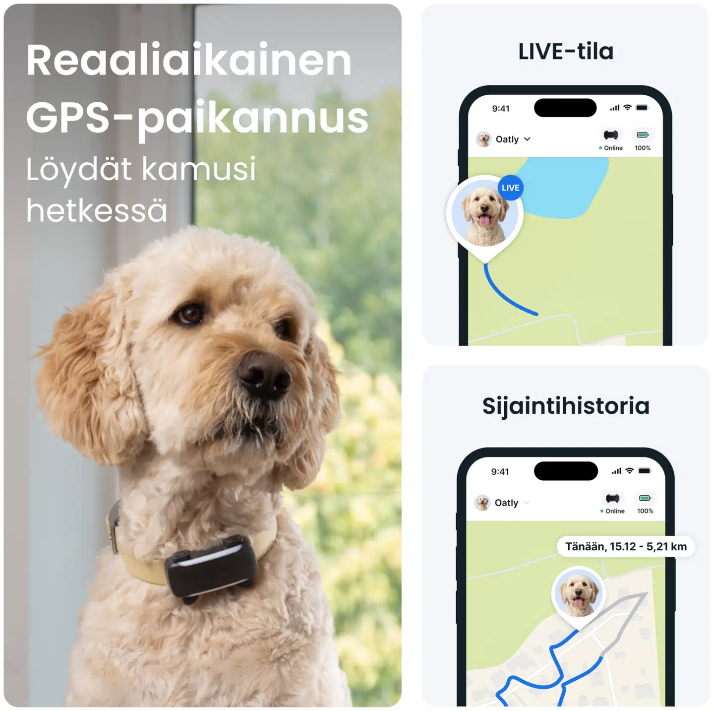 Tractive DOG 6 XL GPS -koiranpanta - 2