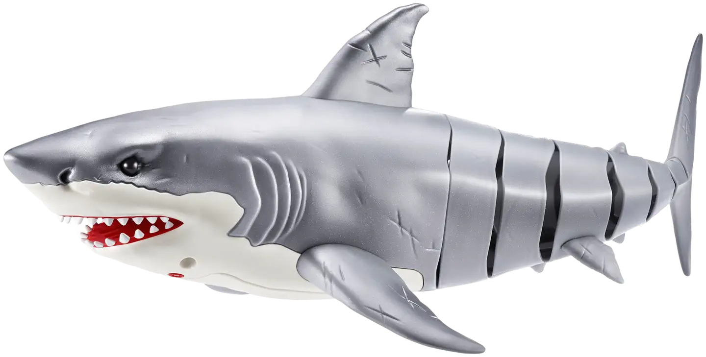 Water Activated Large Shark S1 - 6