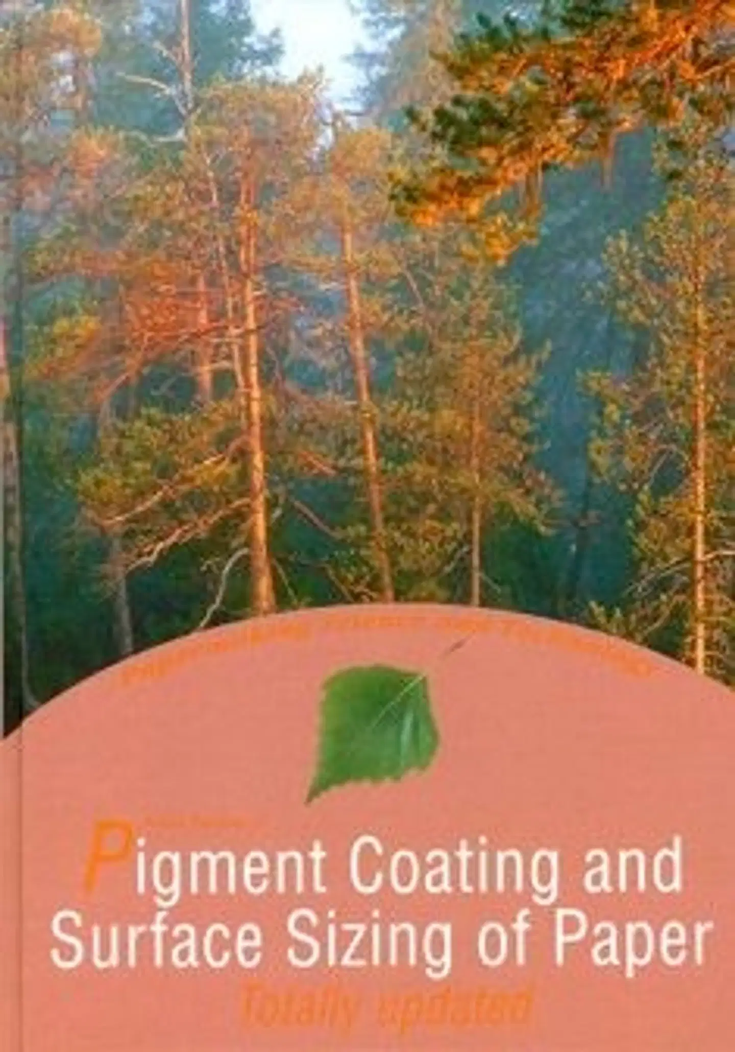 Pigment coating and surface sizing of paper