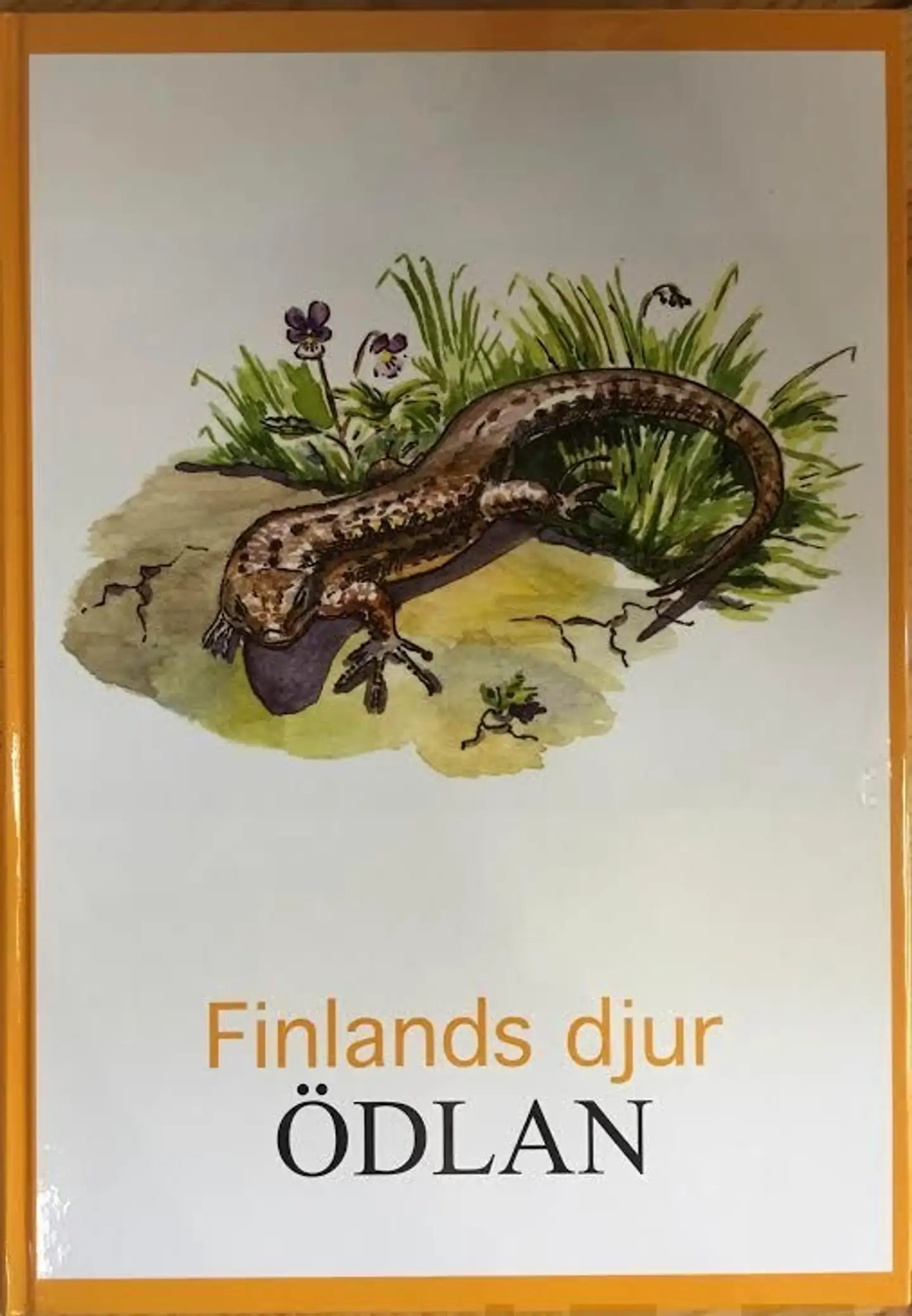 Ödlan