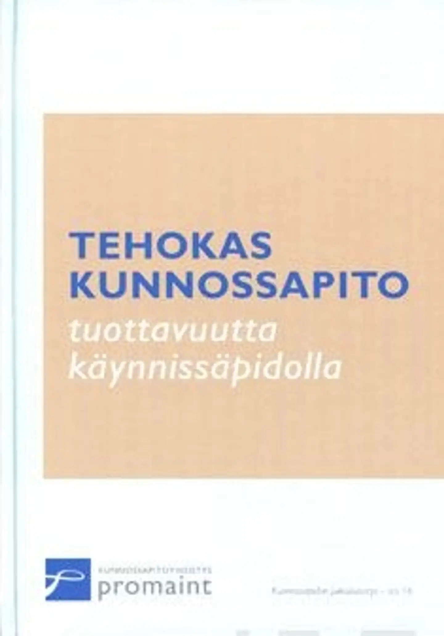 Laine, Tehokas kunnossapito - tuottavuutta käynnissäpidolla