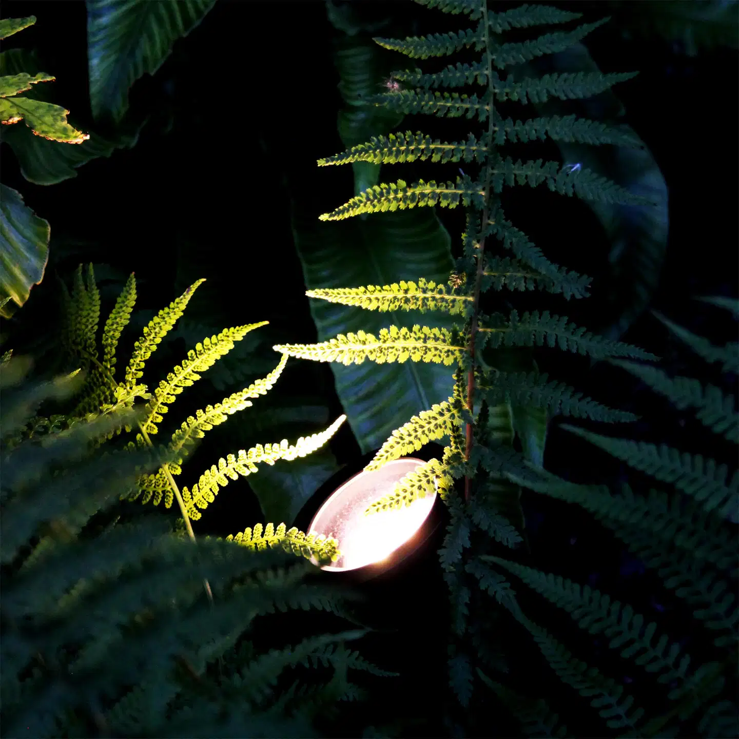 LightsOn spottivalaisin Luna harmaa - 5