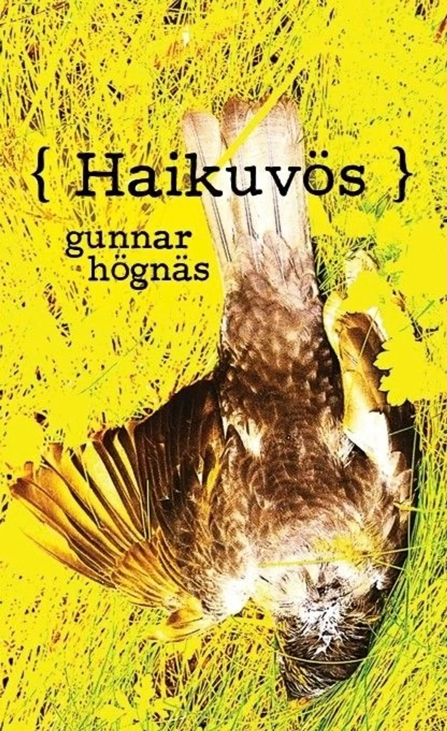 Högnäs, ( Haikuvös ) - Abstrakt, urvisare