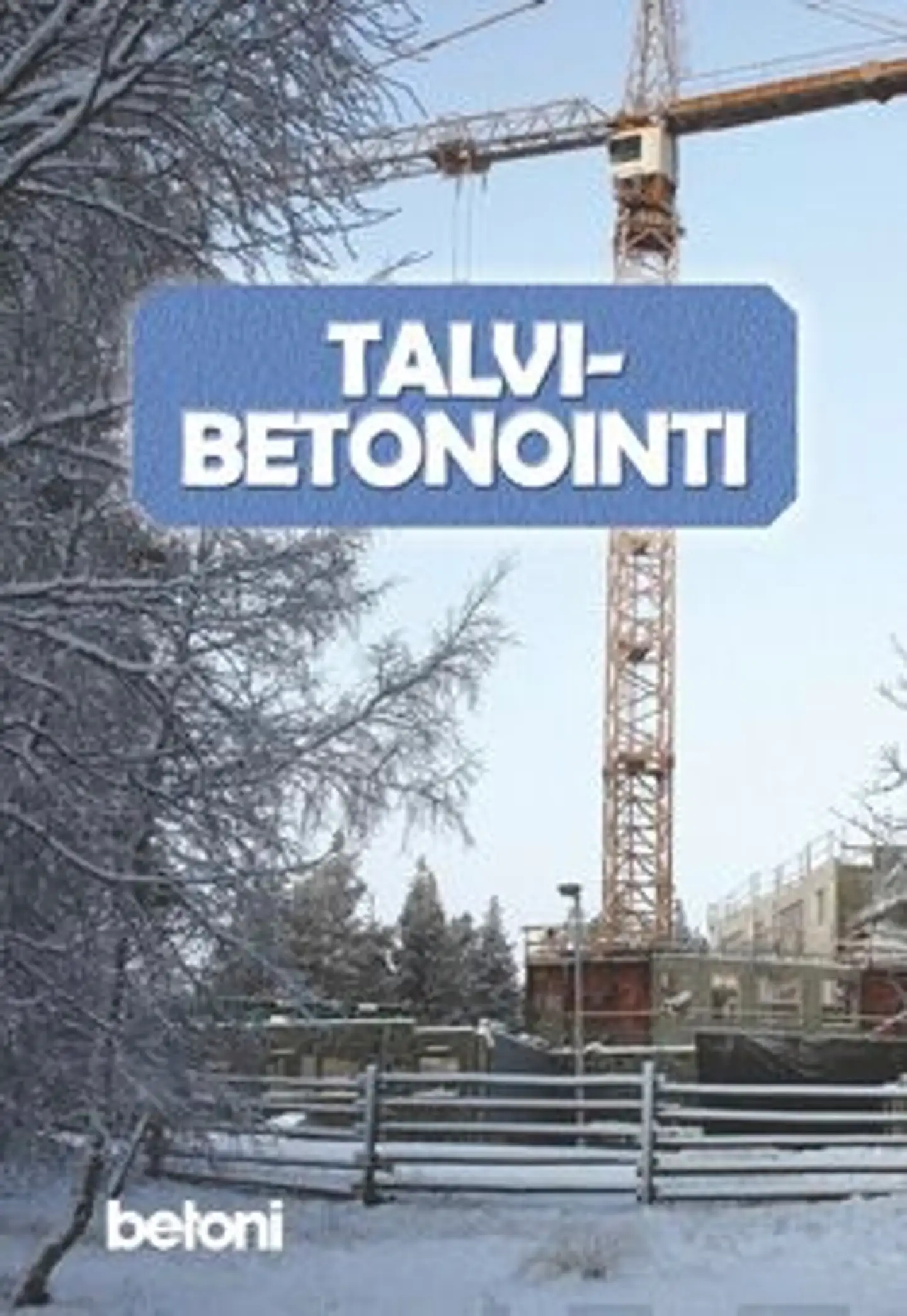 Talvibetonointi