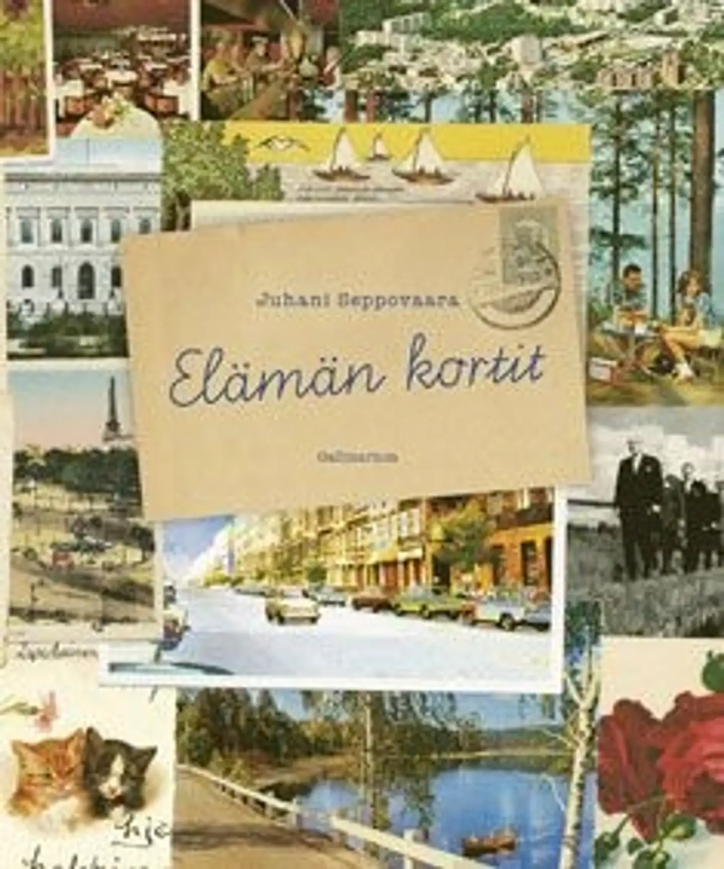 Seppovaara, Elämän kortit