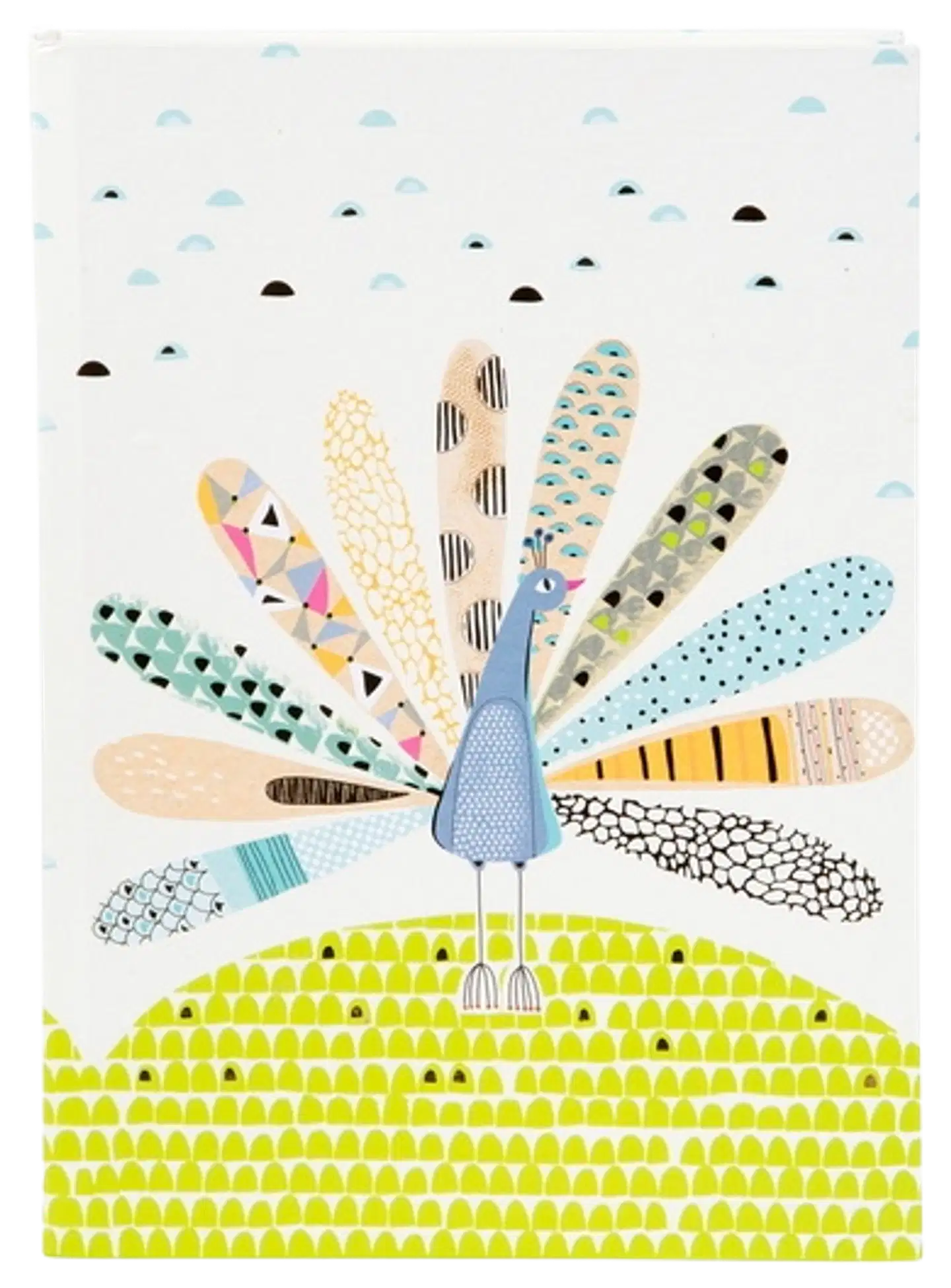 Goldbuch pavo muistikirja A5/200 - 1