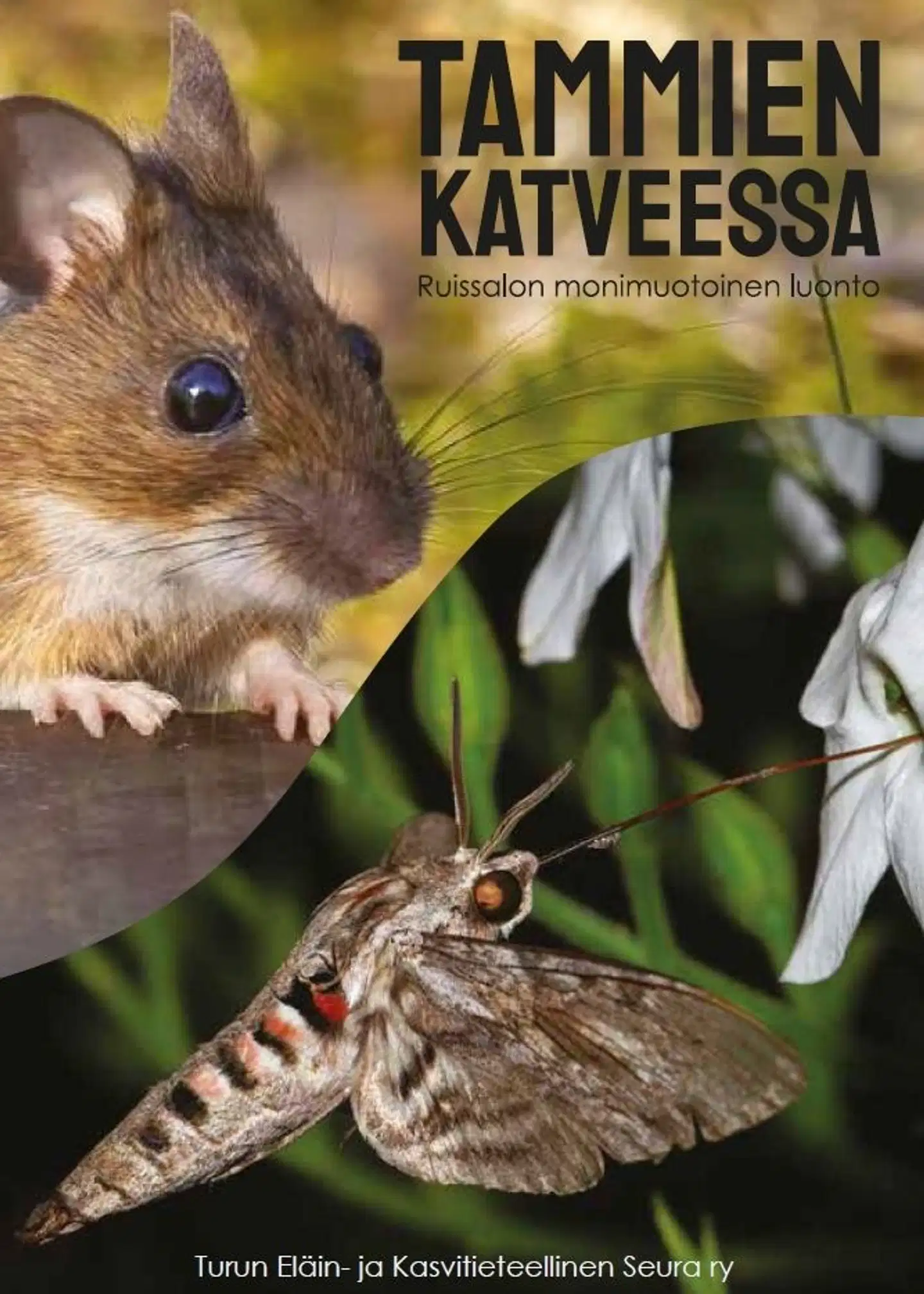 Andersson, Tammien katveessa: Ruissalon monimuotoinen luonto