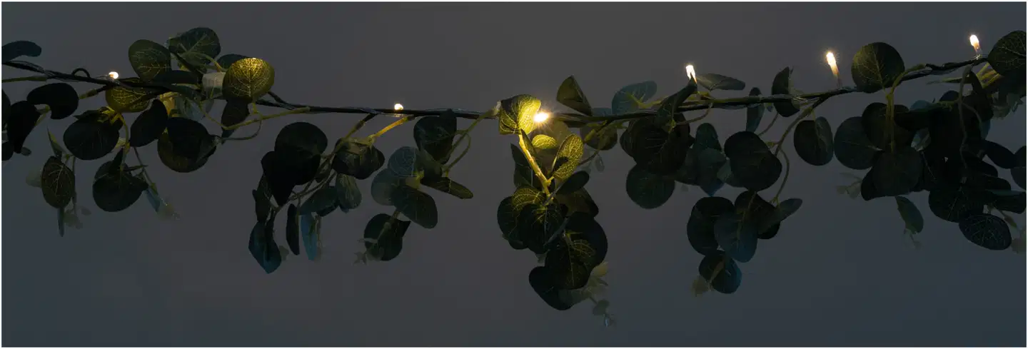 House koristevaloköynnös Eukalyptus 15 led - 3