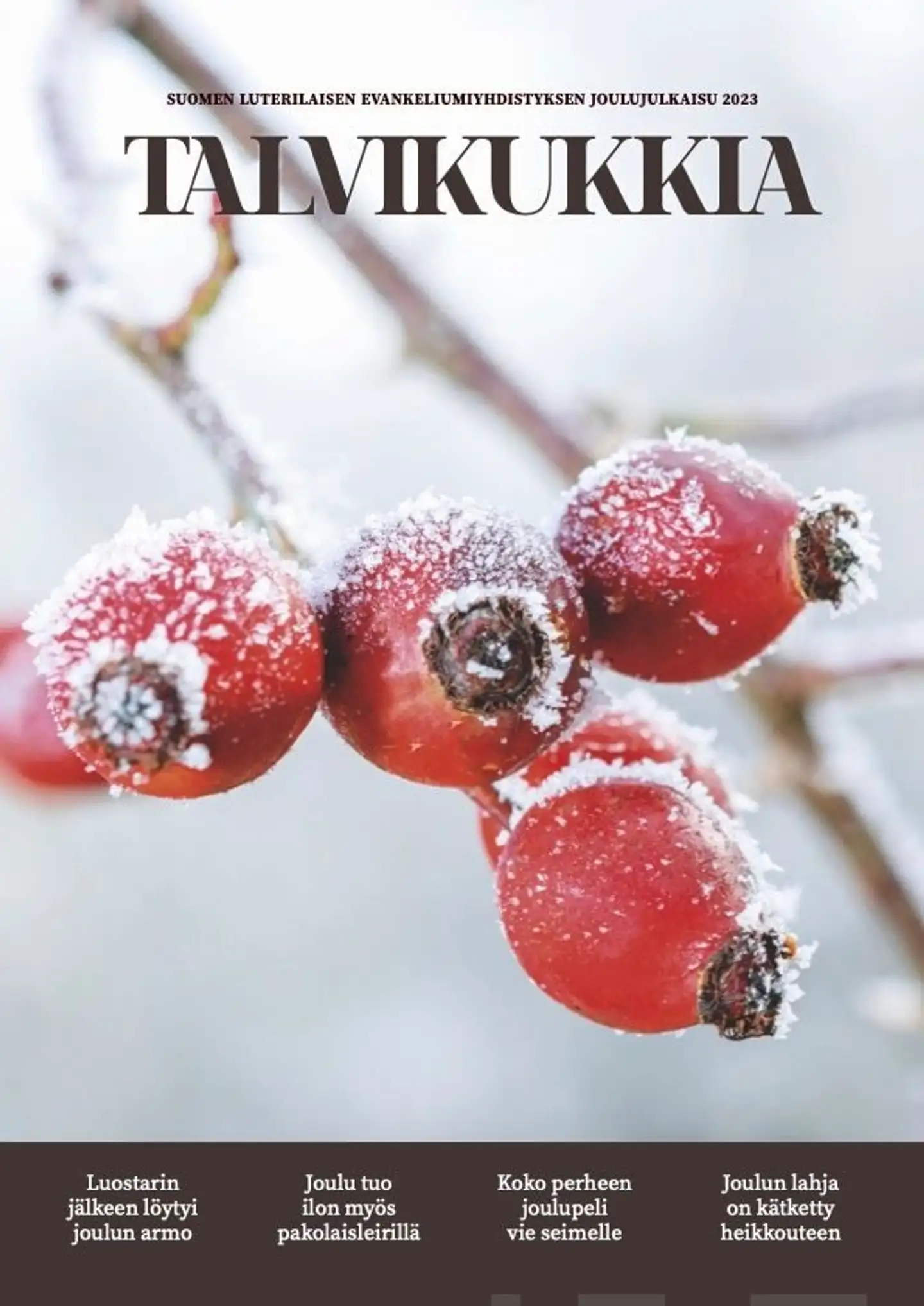 Talvikukkia - Suomen Luterilaisen Evankeliumiyhdistyksen joulujulkaisu 2023