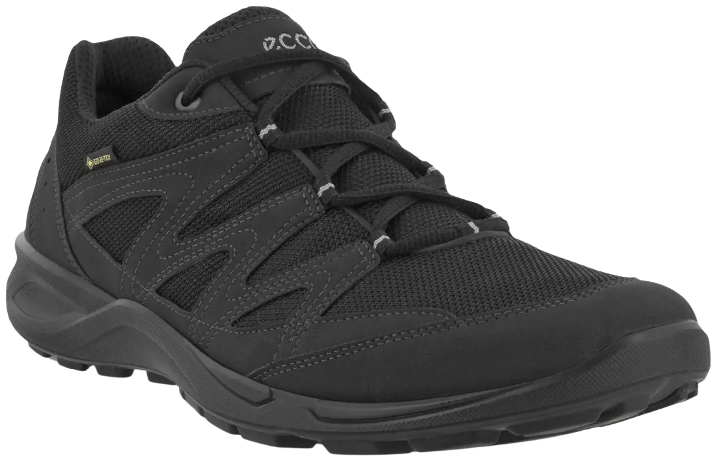 Ecco miesten ulkoilujalkine Terracruise LT GTX - Black/black - 1