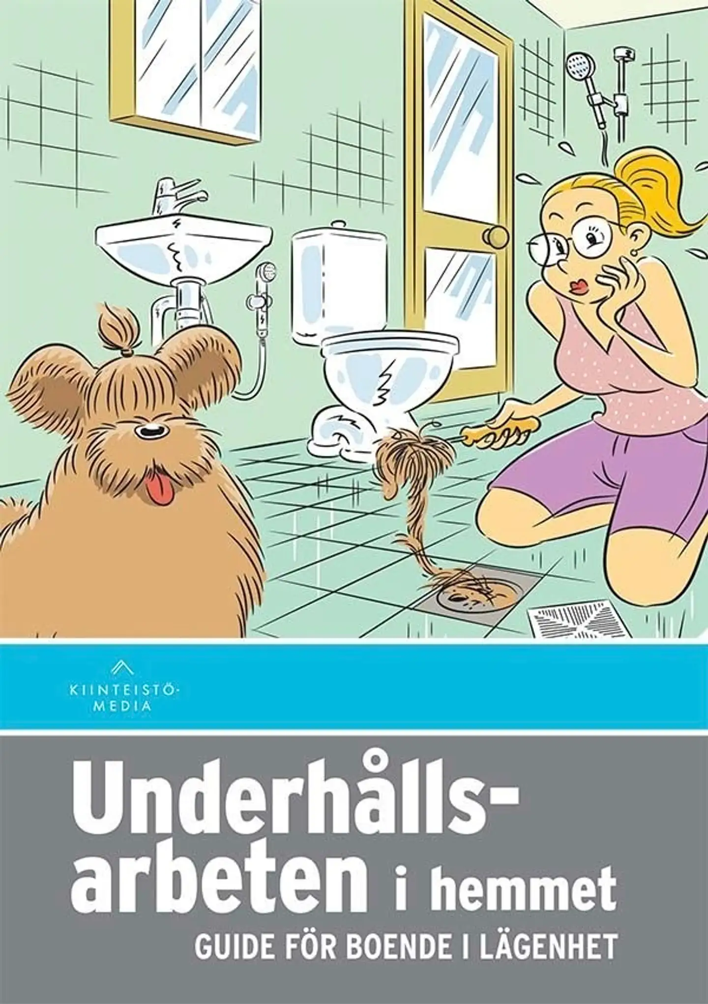 Underhållsarbeten i hemmet - Guide för boende i lägenhet