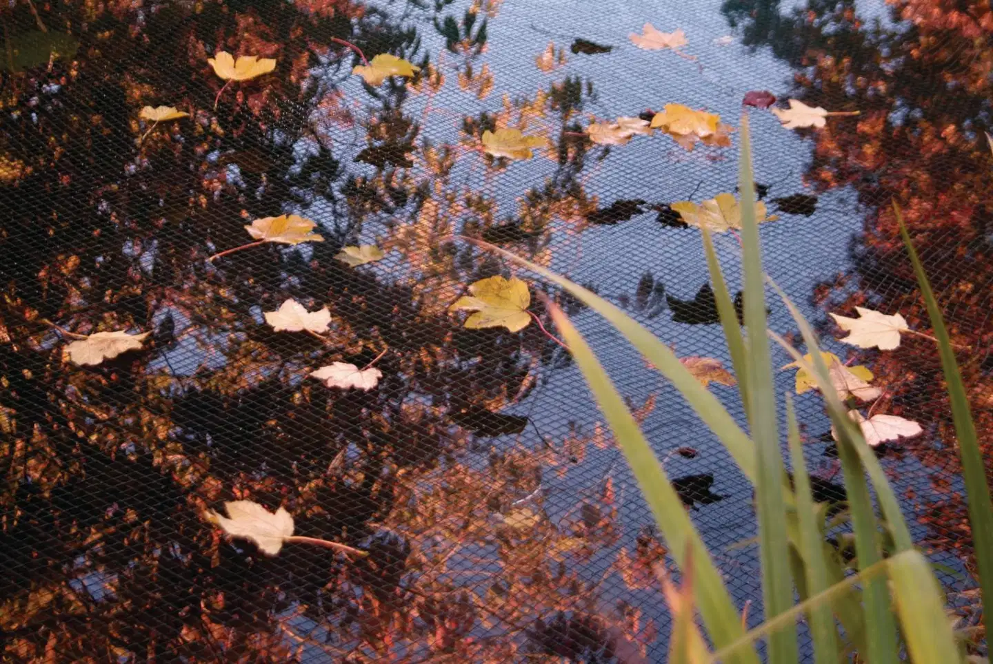 Ubbink Lehtiverkko 3x2 m