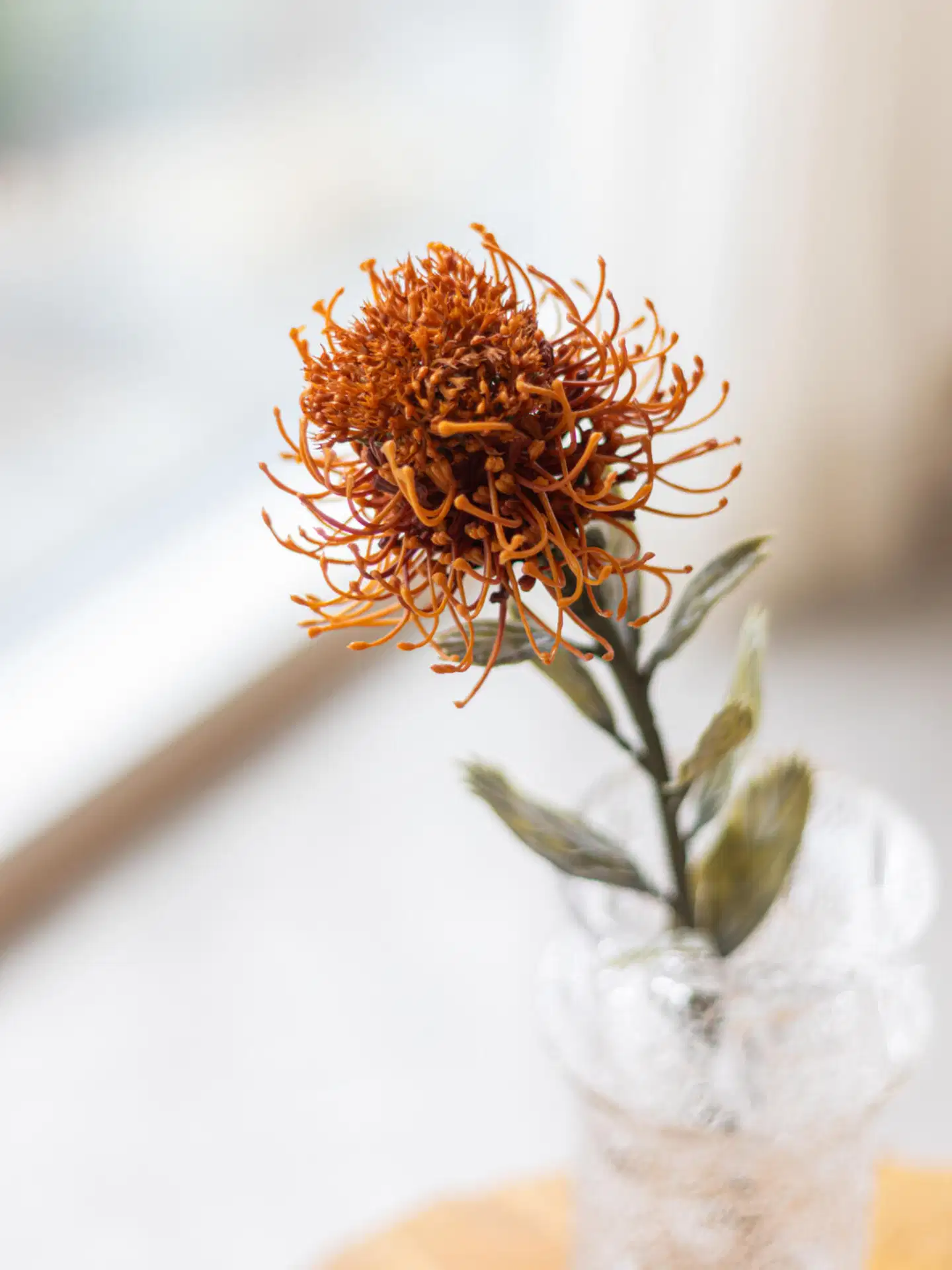 Tekokukka Bloom Deoc Protea - 2