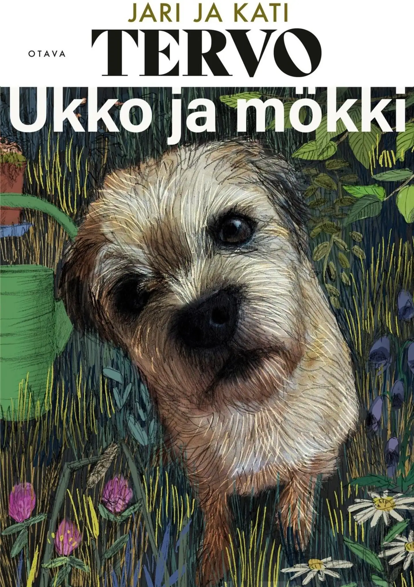 Tervo, Ukko ja mökki