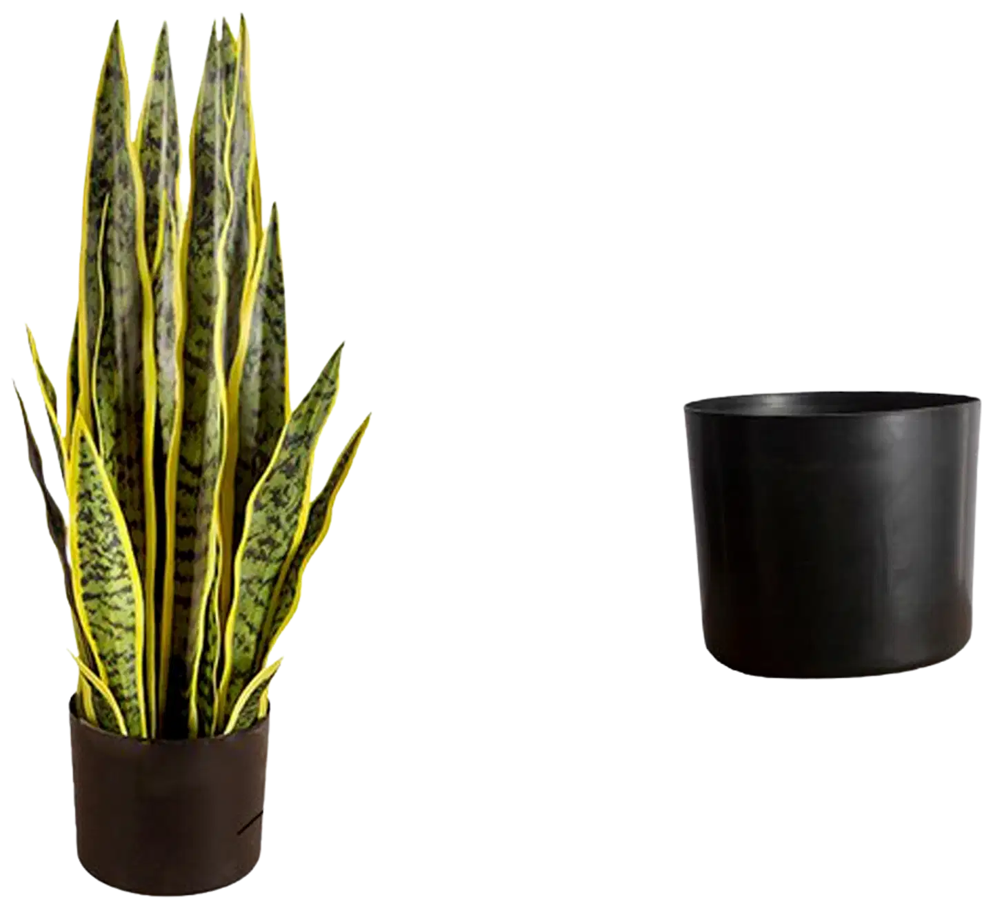 Lykke tekokasvi snake plant 65cm - 2