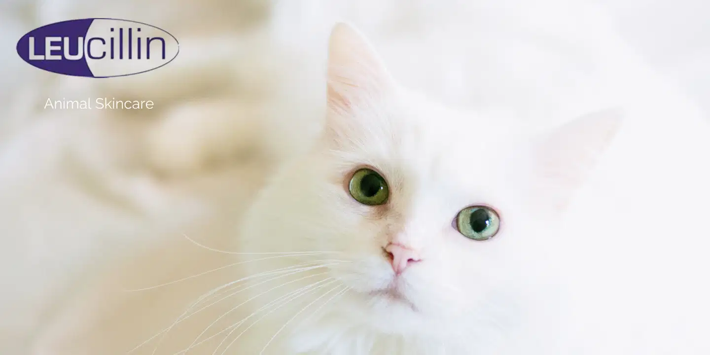 Leucillin - Hypokloori puhdistusaine lemmikeille 150ml Spray - 2