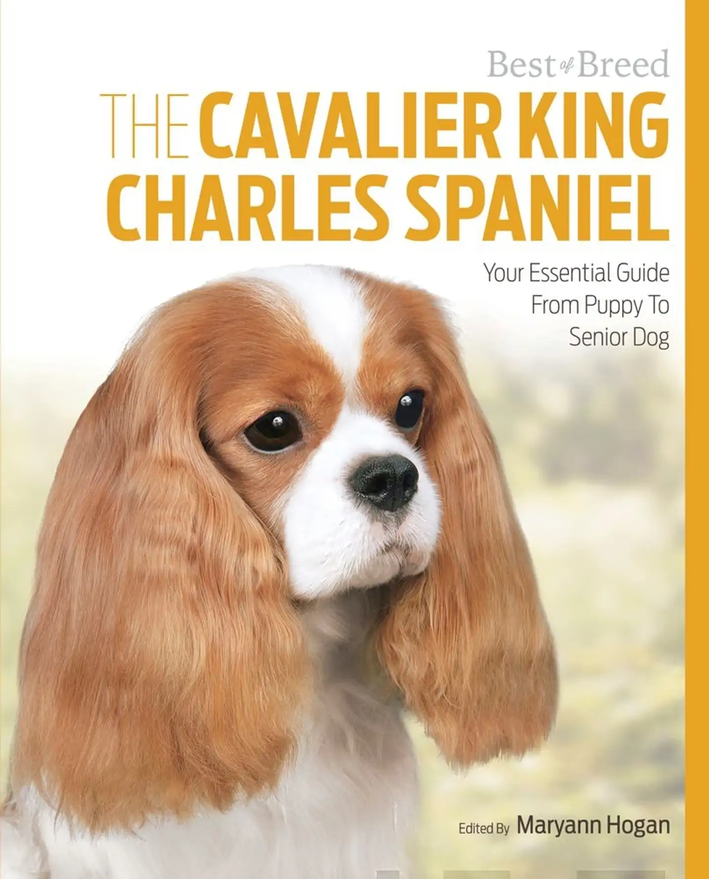 Hogan, The Cavalier King Charles Spaniel - Your Essential Guide From Puppy to Senior Dog