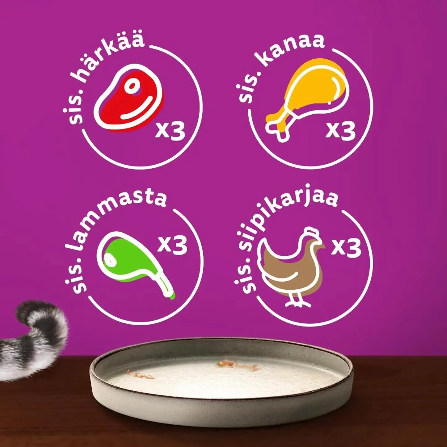 Whiskas 1+ Pure Delight meheviä suikaleita hyytelössä (12 x 85 g) - 3
