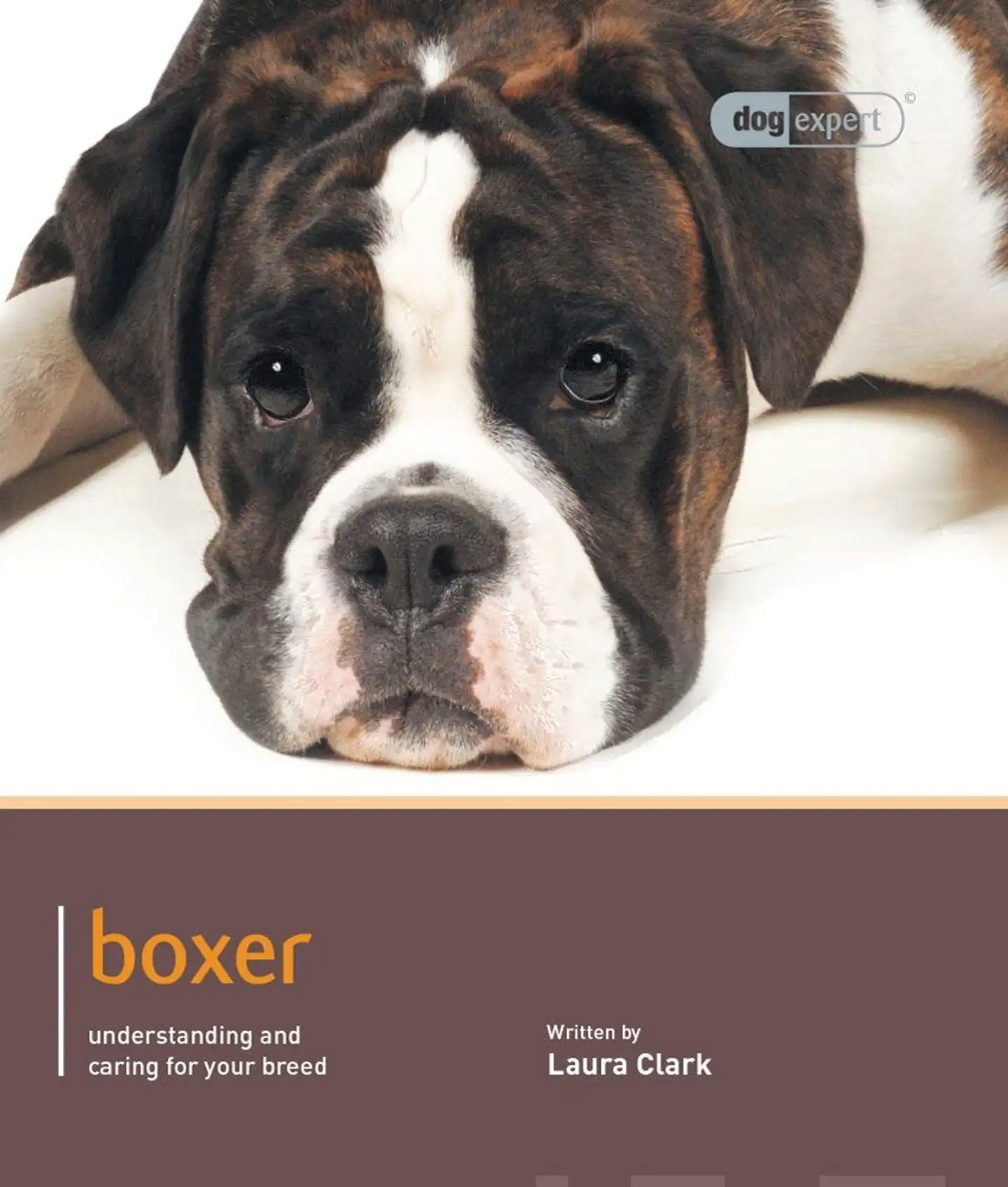 Clark, Boxer - Understanding and caring for your breed