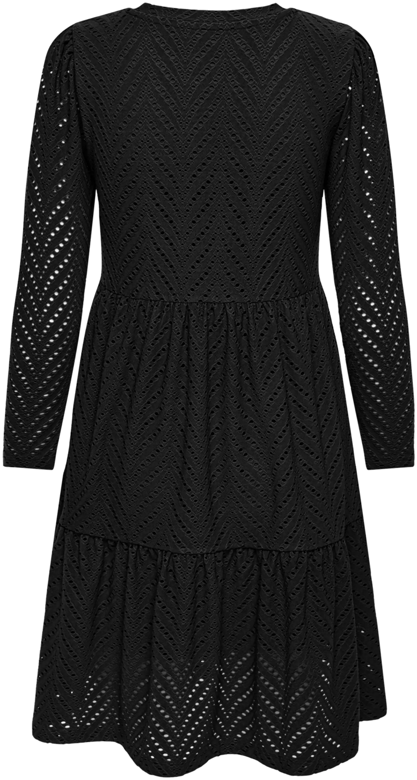 JDY naisten brodeerattu mekko Jdycarla - BLACK - 2