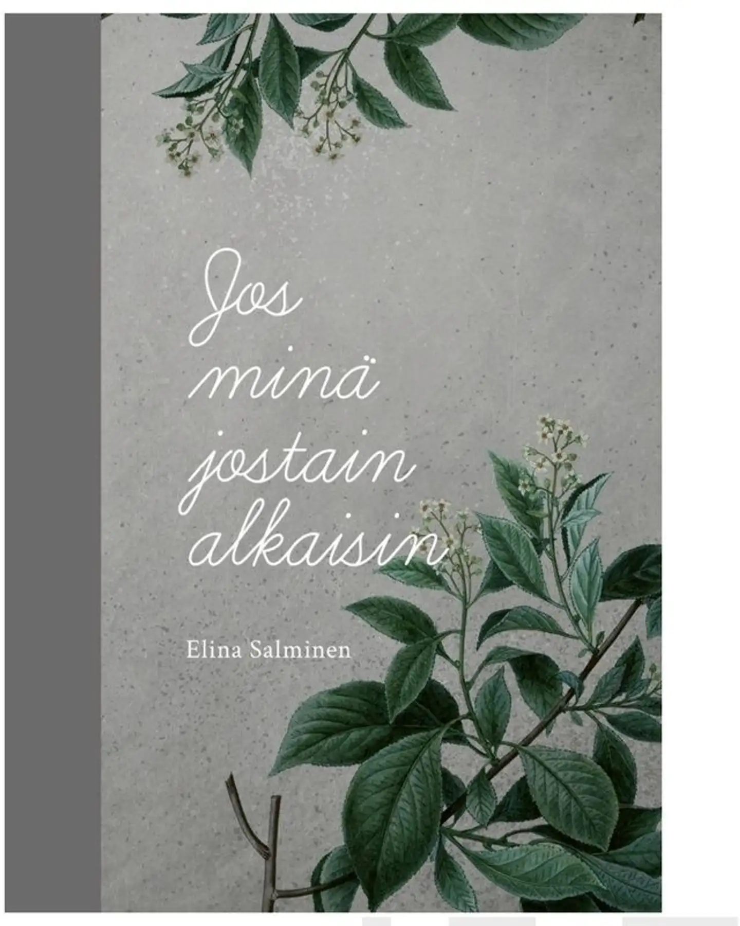 Salminen, Jos minä jostain alkaisin