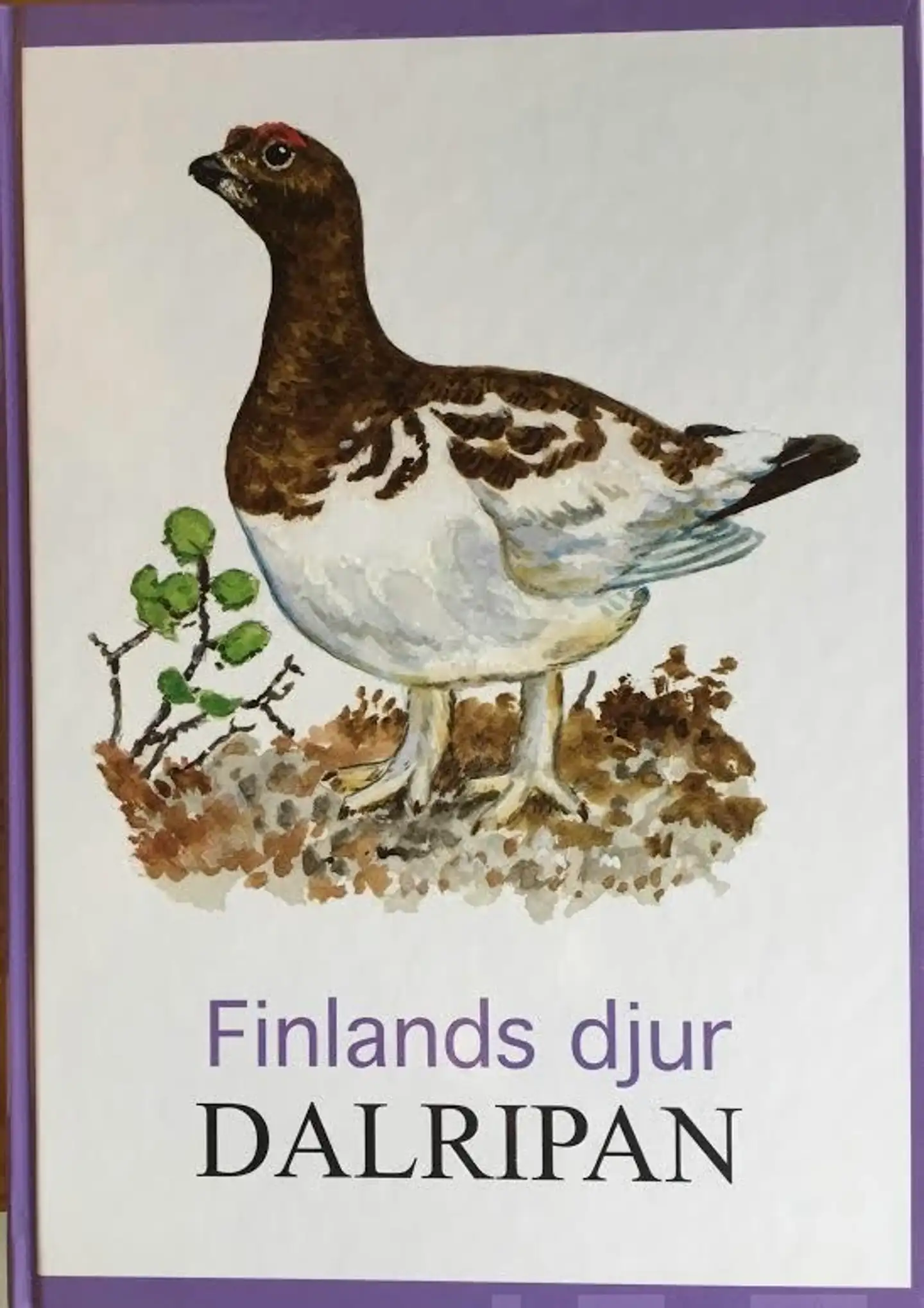 Dalripan