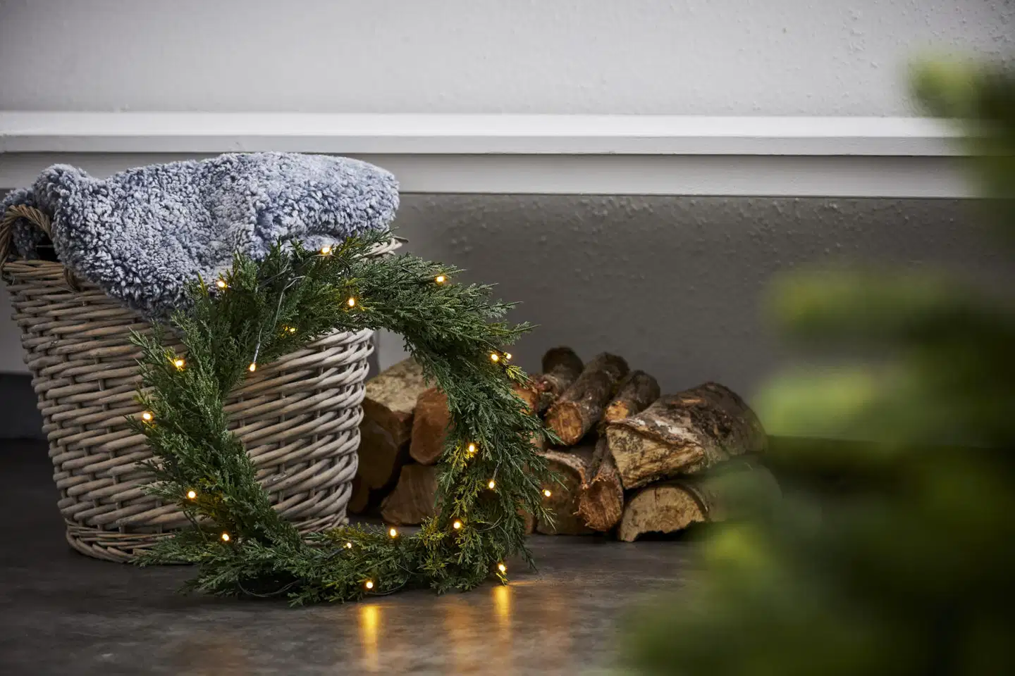Star Trading kranssi Thuja - 3