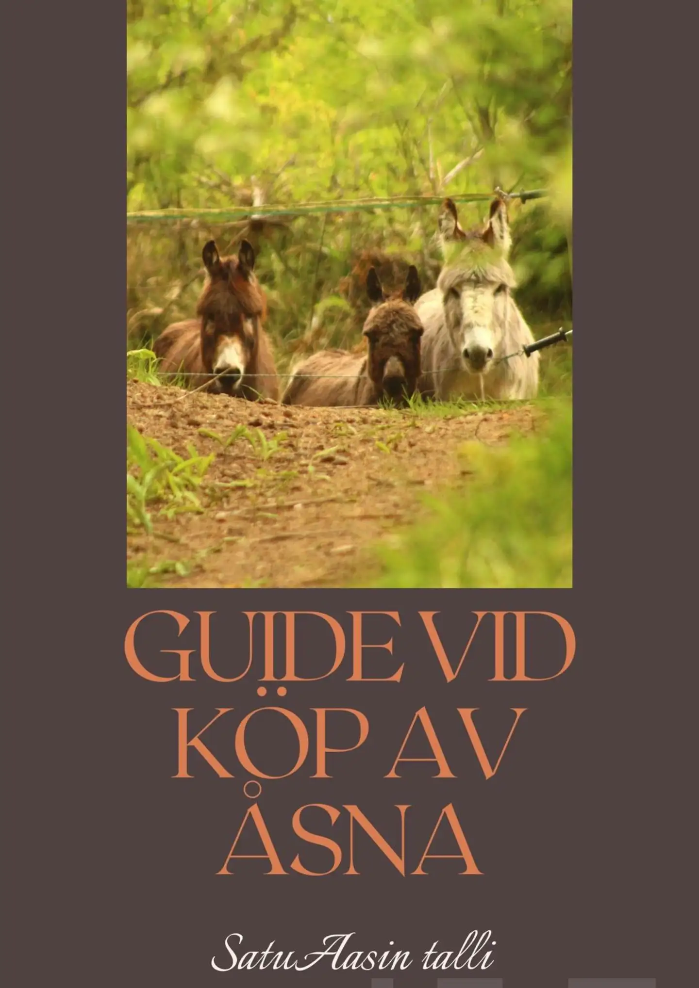 Valkas, Guide vid köp av en åsna