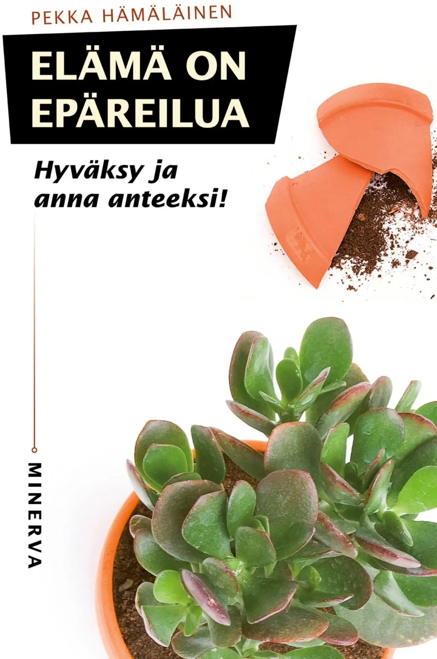 Hämäläinen, Elämä on epäreilua - Hyväksy ja anna anteeksi!