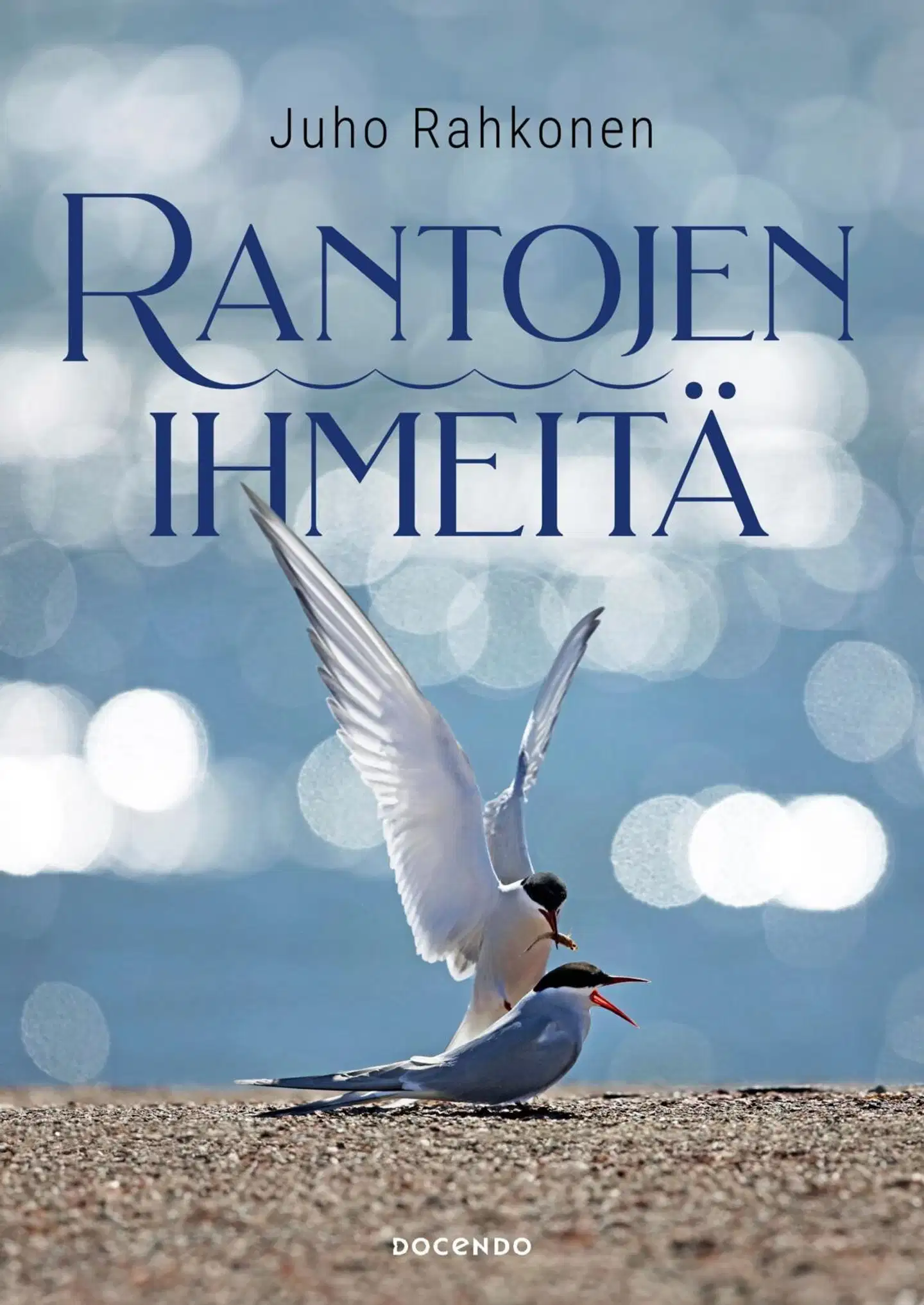 Rahkonen, Rantojen ihmeitä