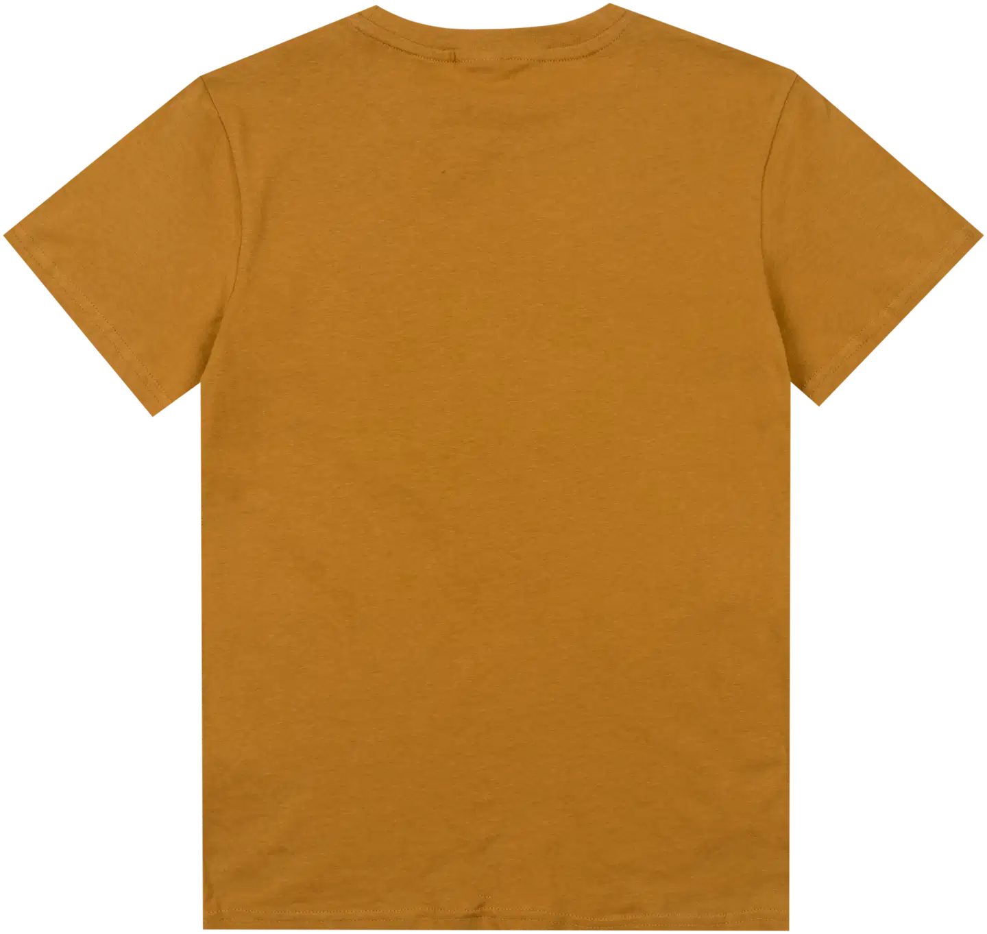 House lasten t-paita 23PH172618 - Wood thrush - 2