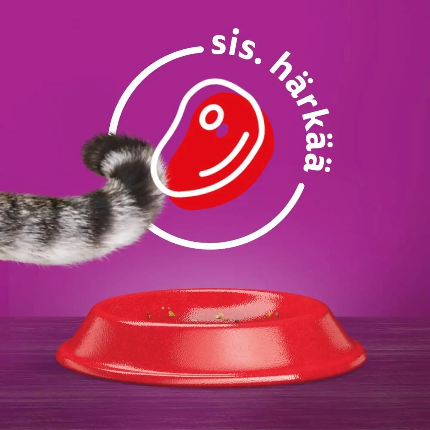 Whiskas 1+ Härkää 800g - 2