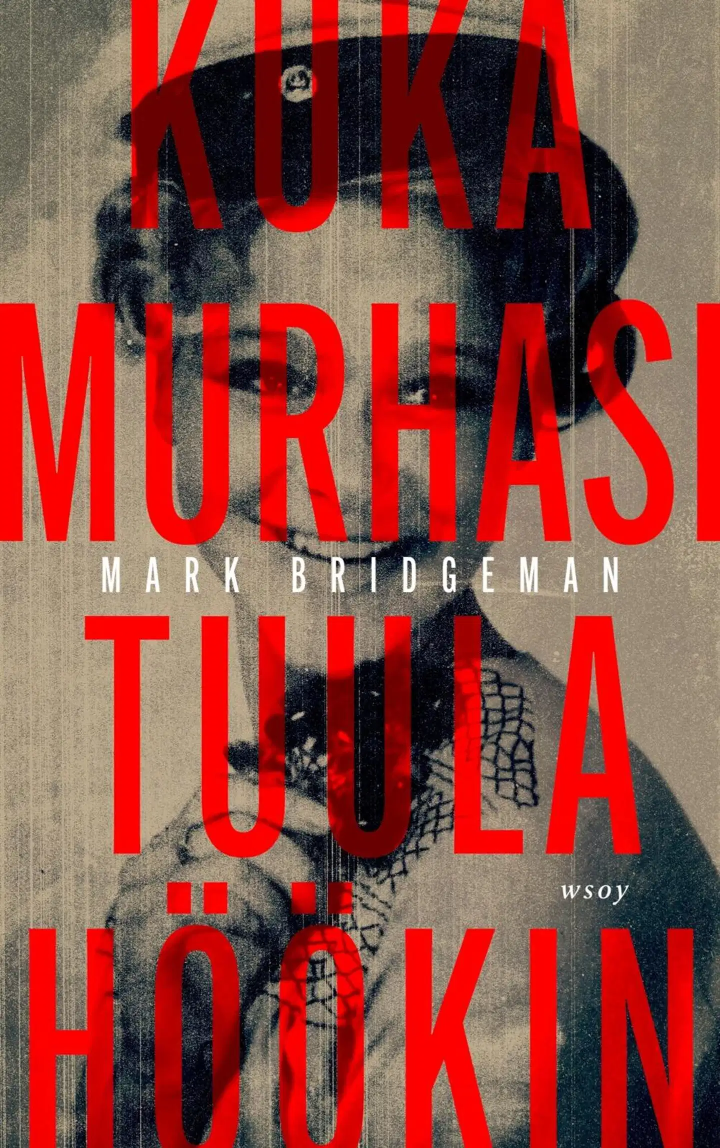 Bridgeman, Kuka murhasi Tuula Höökin?