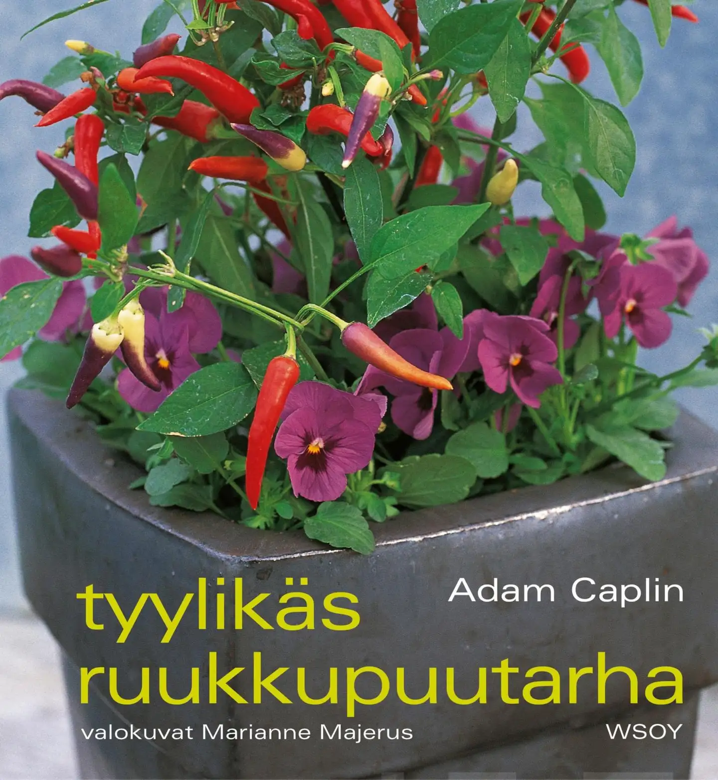 Tyylikäs ruukkupuutarha