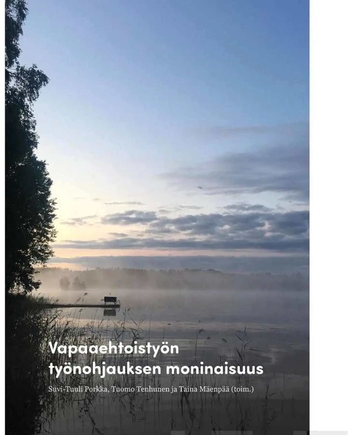 Vapaaehtoistyön työnohjauksen moninaisuus