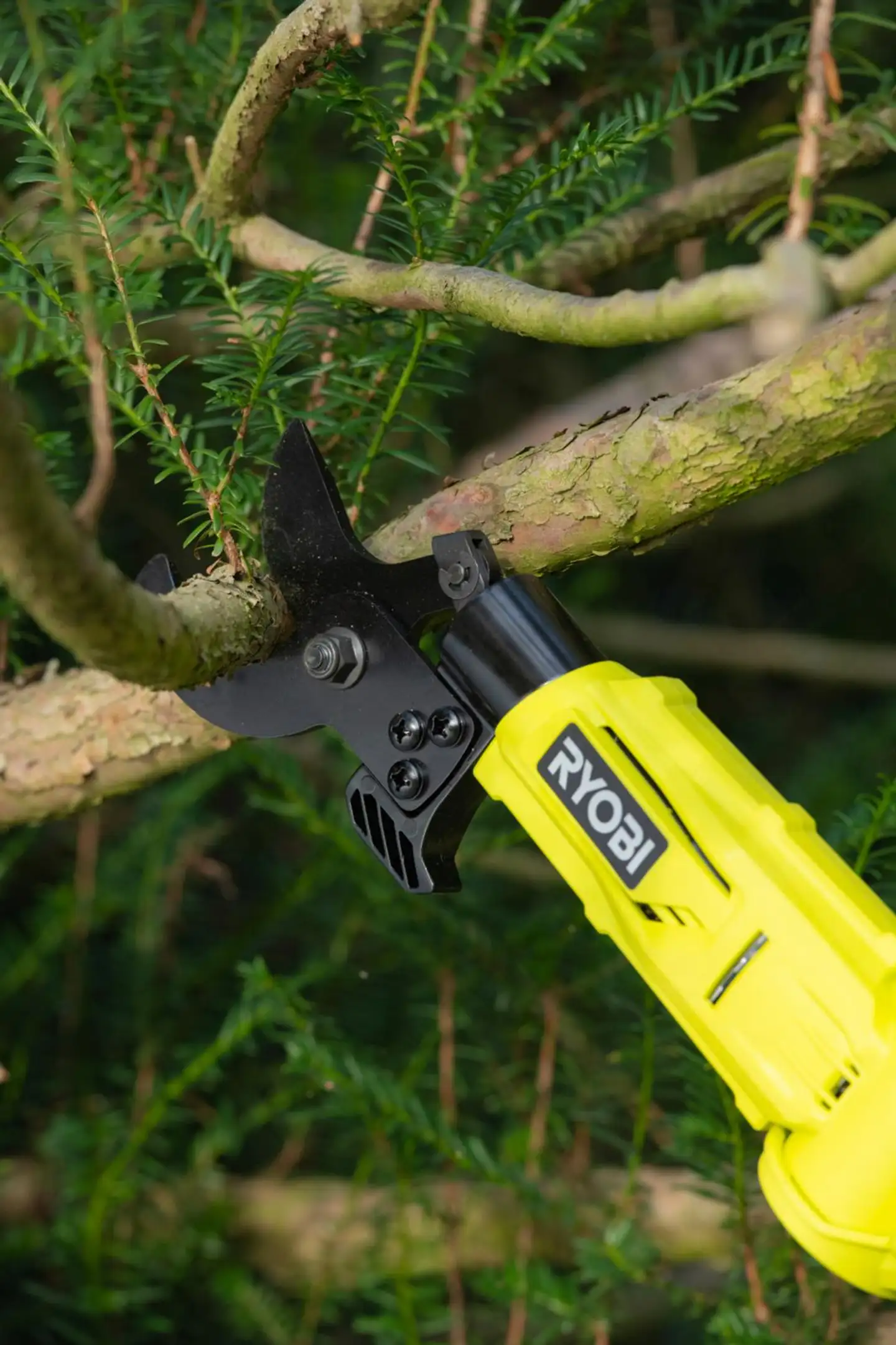 Ryobi 18V oksaleikkuri teleskooppivarrella RY18PLA-0 - 3