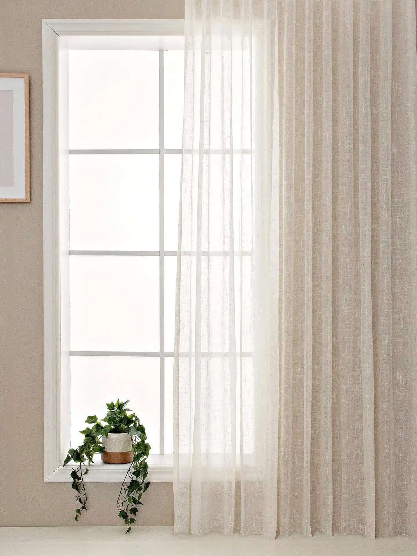 Hasta Alma XL valoa suodattava verho, beige - 4