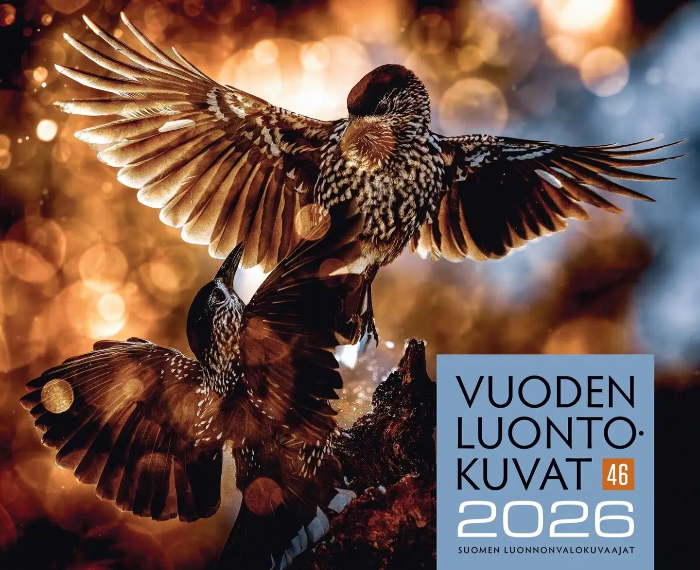 Pöntinen, Vuoden Luontokuvat 2026 - 46. vuosikerta