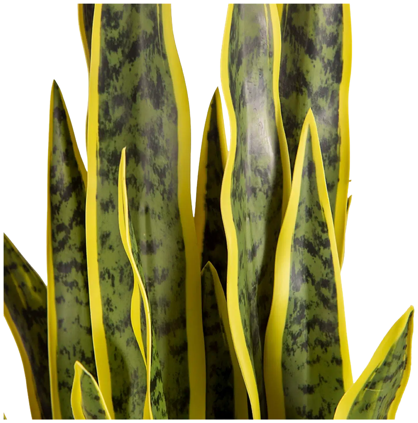 Lykke tekokasvi snake plant 65cm - 4